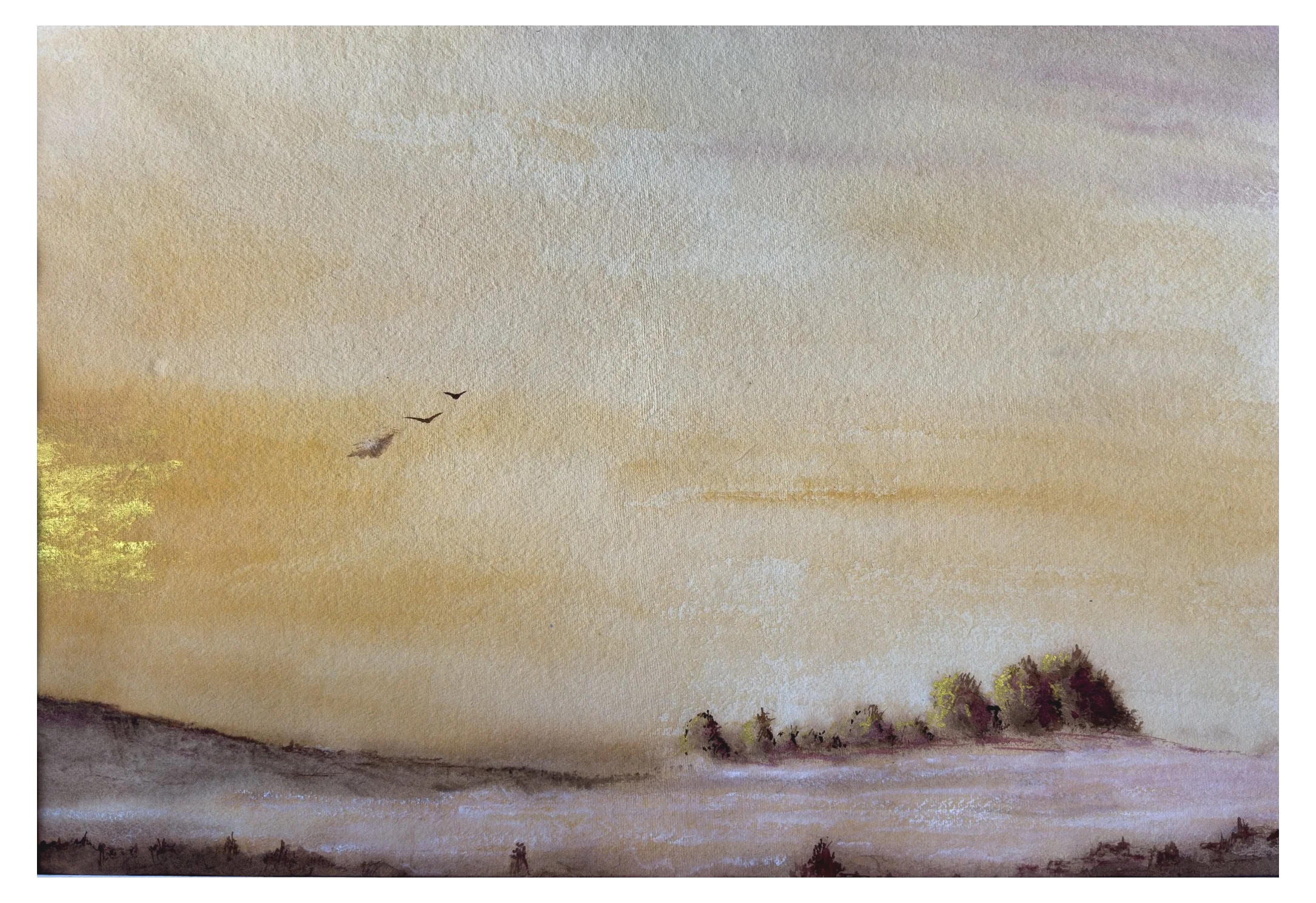 131. CArvalhal mist
watercolour on Arches rough 300gsm
€400