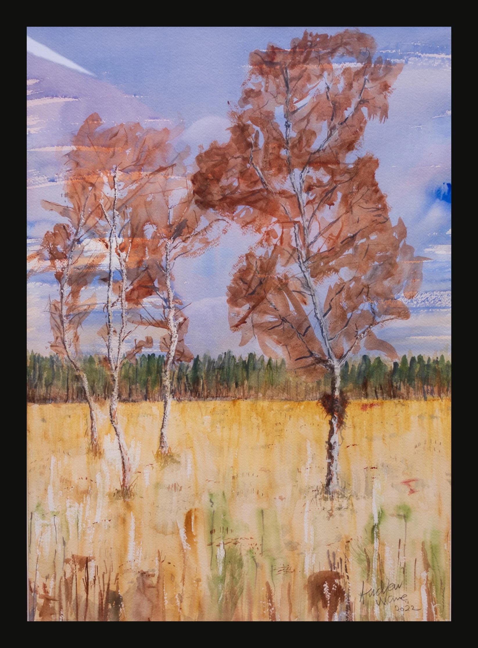 Wareham Forest