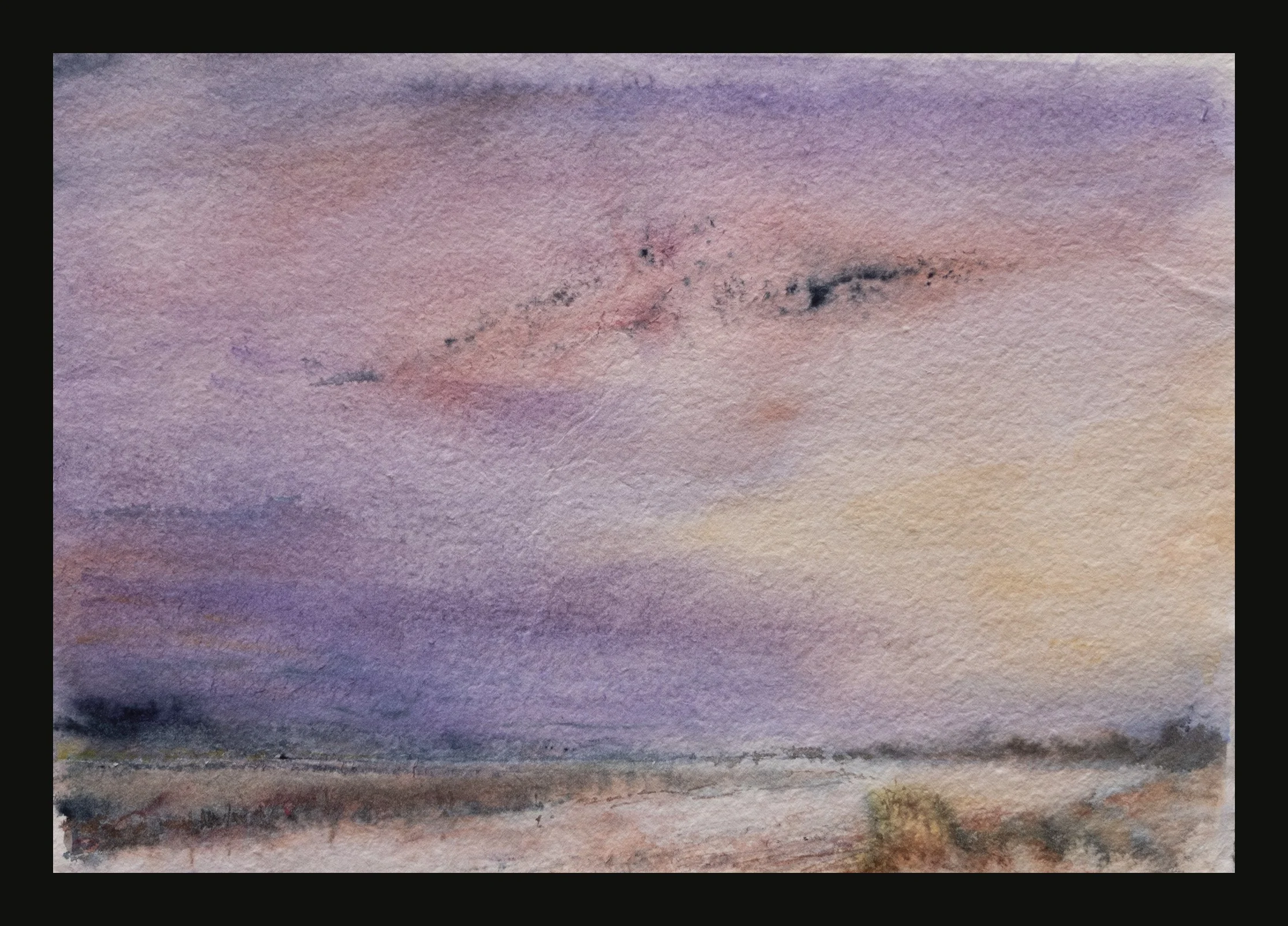 Murmuration from my mind