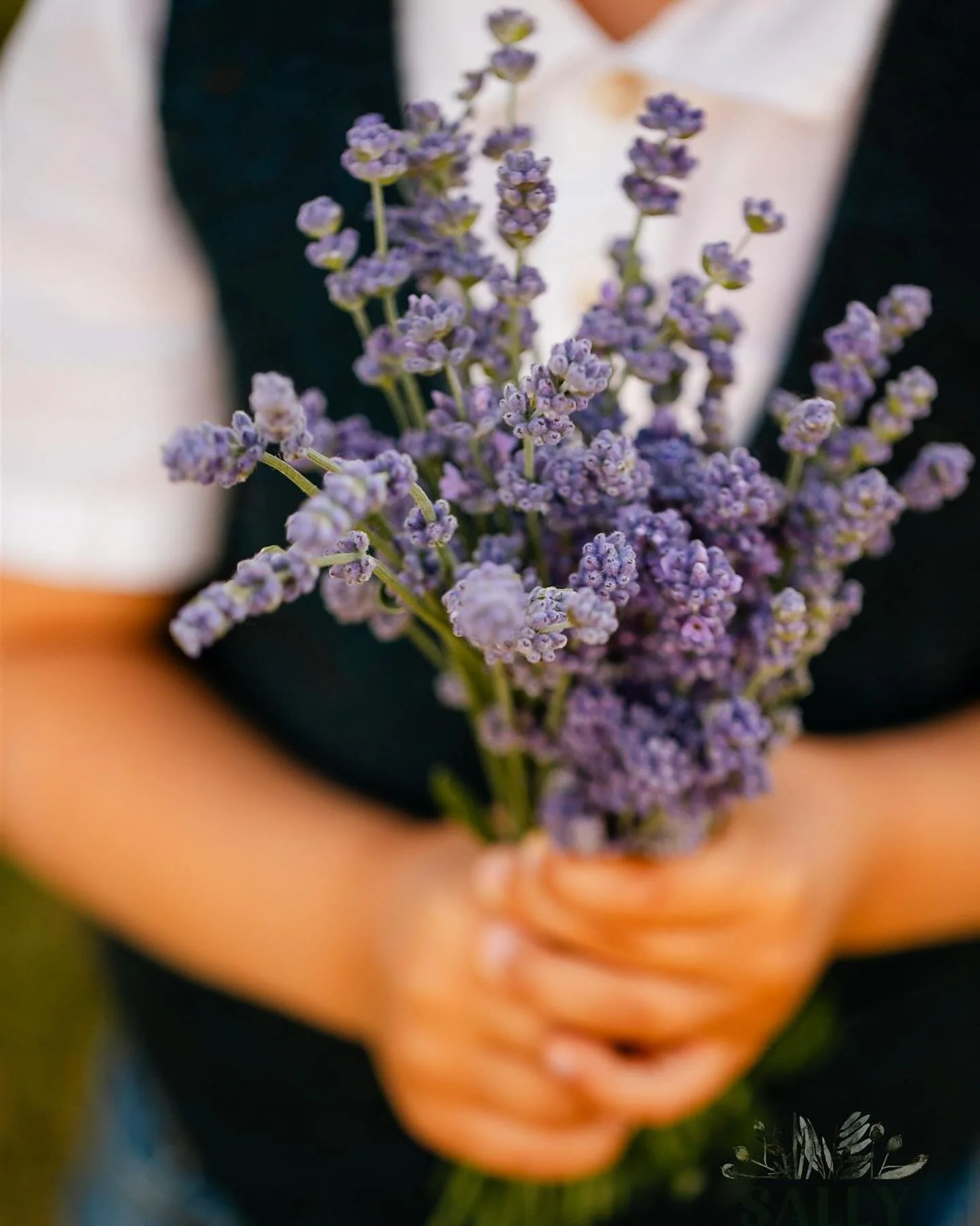 2026 Four Suns Farm Lavender Festival: General Admission Ticket - Saturday, June 27, 9am to 4pm