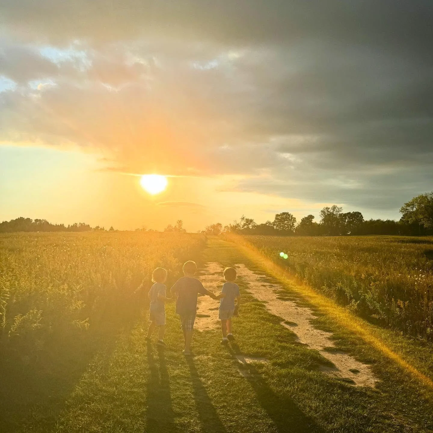 Nothing like a sunset on the farm after a long, full week. The sky slows down, the work fades out, and everything feels right again. Grateful for these quiet moments that remind me why we do what we do. 🌱💜🌅 #FarmLife #SunsetTherapy #Gratitude #fou