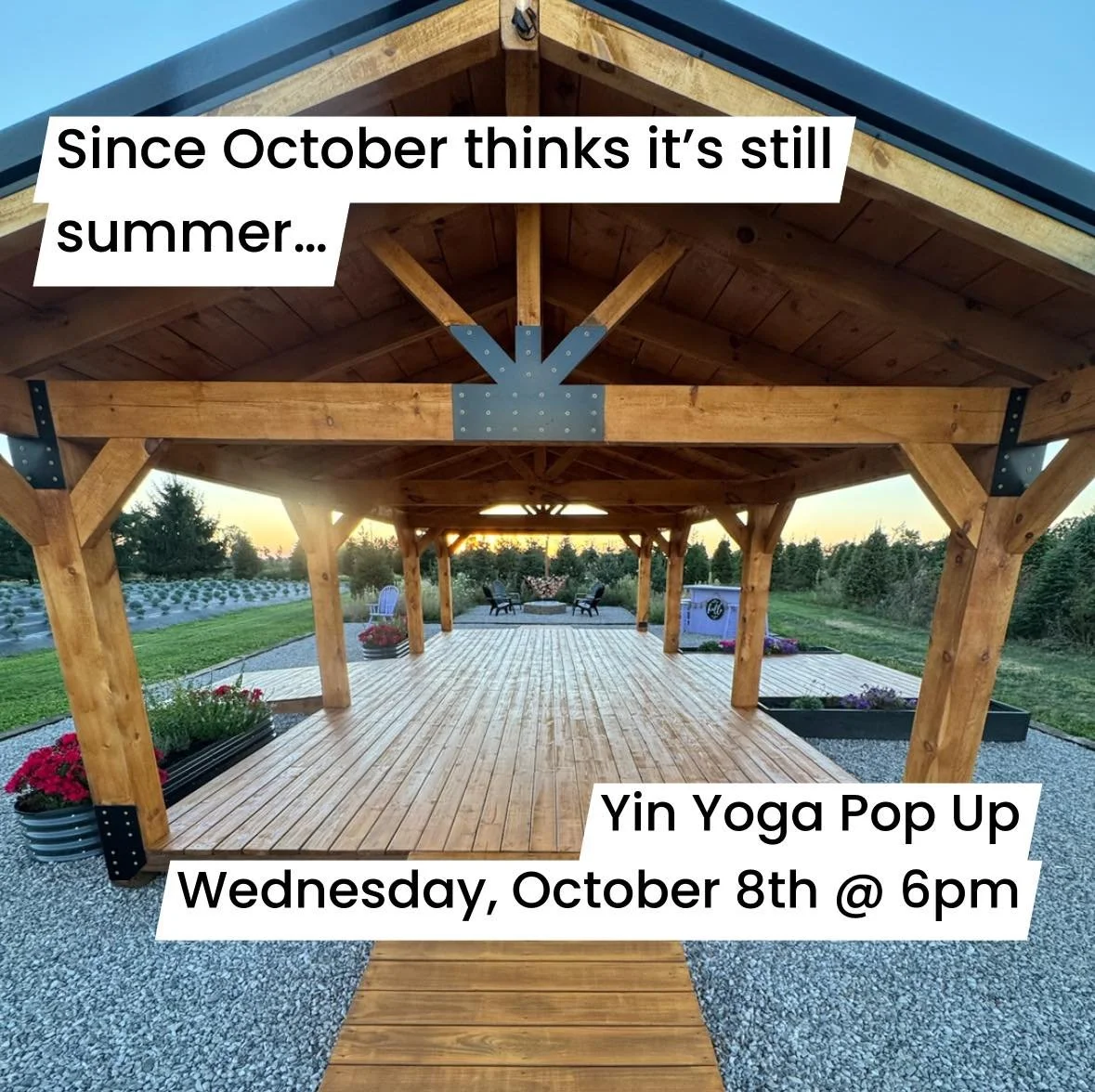 Since October wants to pretend it&rsquo;s still summer, let&rsquo;s play along! 🌞 We will have a pop up Yin Yoga class under the Lavender Pavilion at 6pm on Wednesday, October 8th. 

Beginners welcome. Everything you need, we have! Just bring yourse