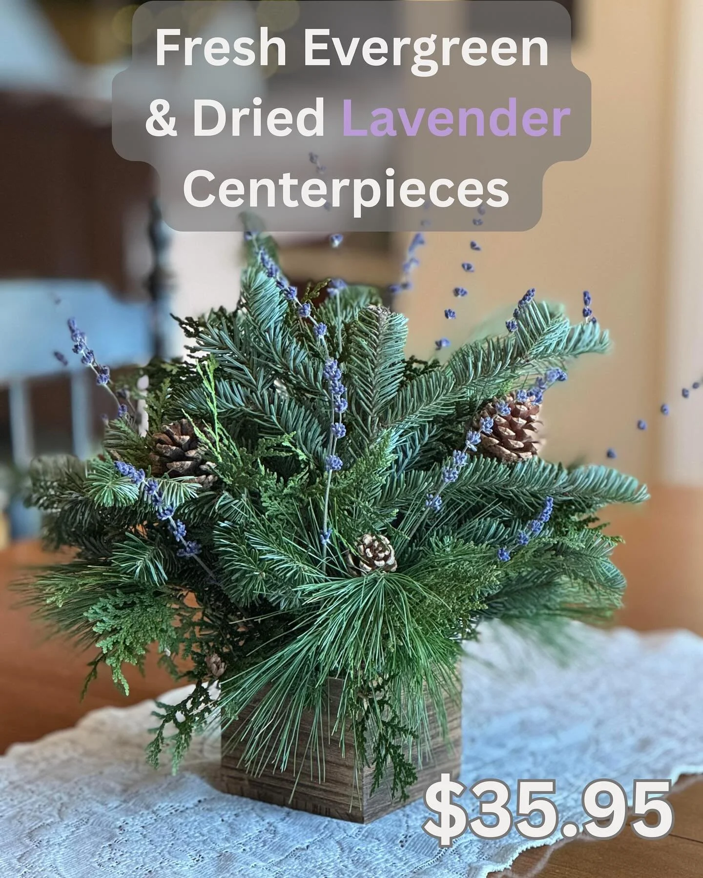 Our fresh evergreen + dried lavender Christmas centerpieces are here &mdash; ready for local pick-up or at the VanderSys Tree Farm Christmas Tree Lot right by Meijer on Pickard St. in Mt. Pleasant!

Handcrafted, fragrant, festive, and made to make yo