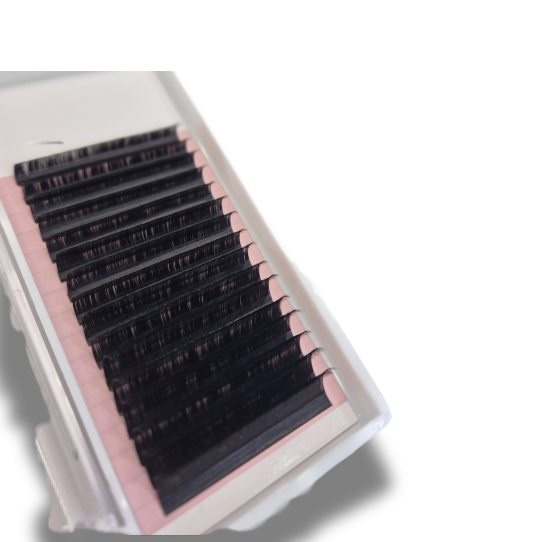 lash_tray.png