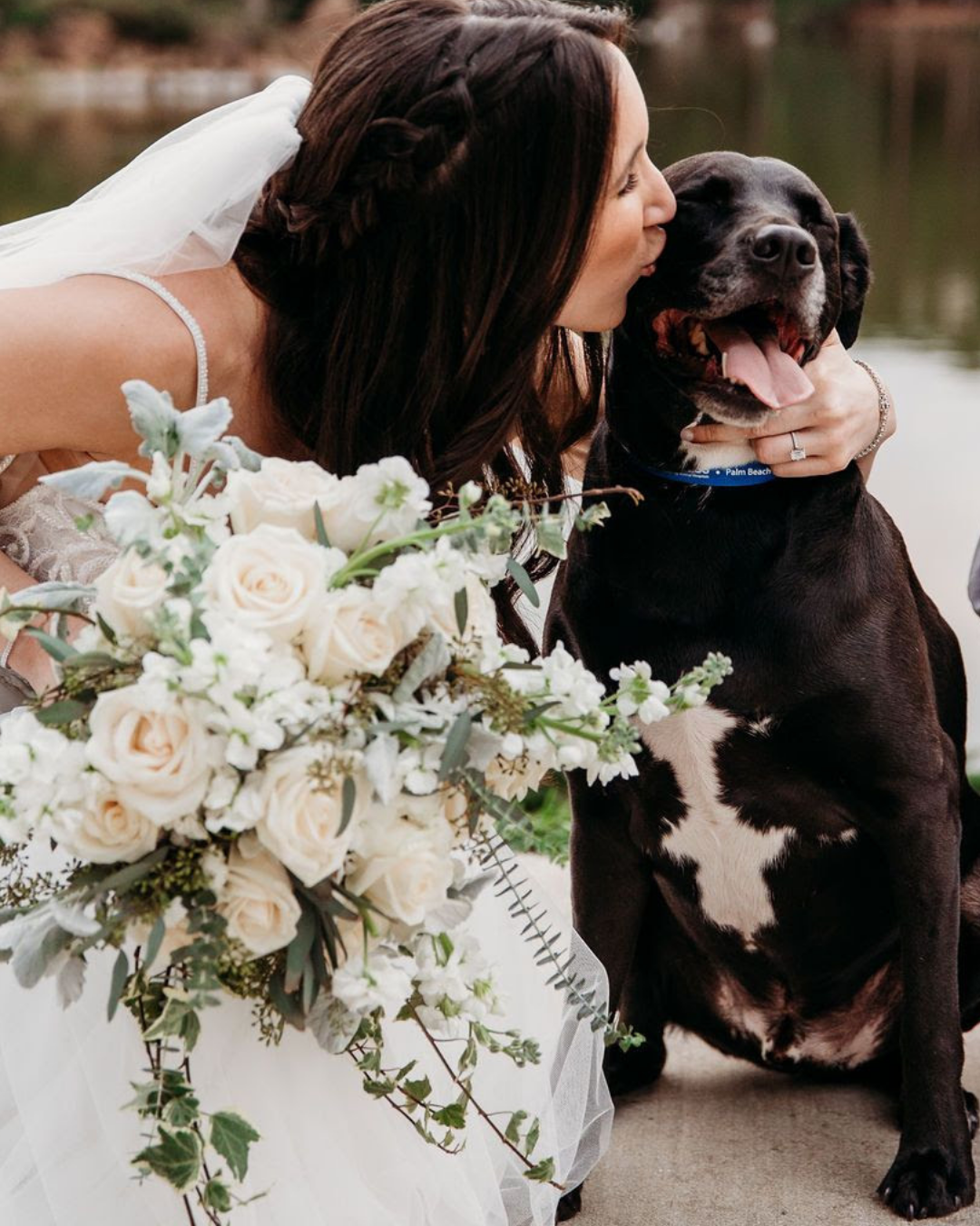 A woman in a wedding dress is kissing a black dog with a white chest, holding it close by the neck. The woman has long brown hair and is holding a bouquet of white and light pink roses and greenery. They appear to be outdoors near water, in a scenic setting.