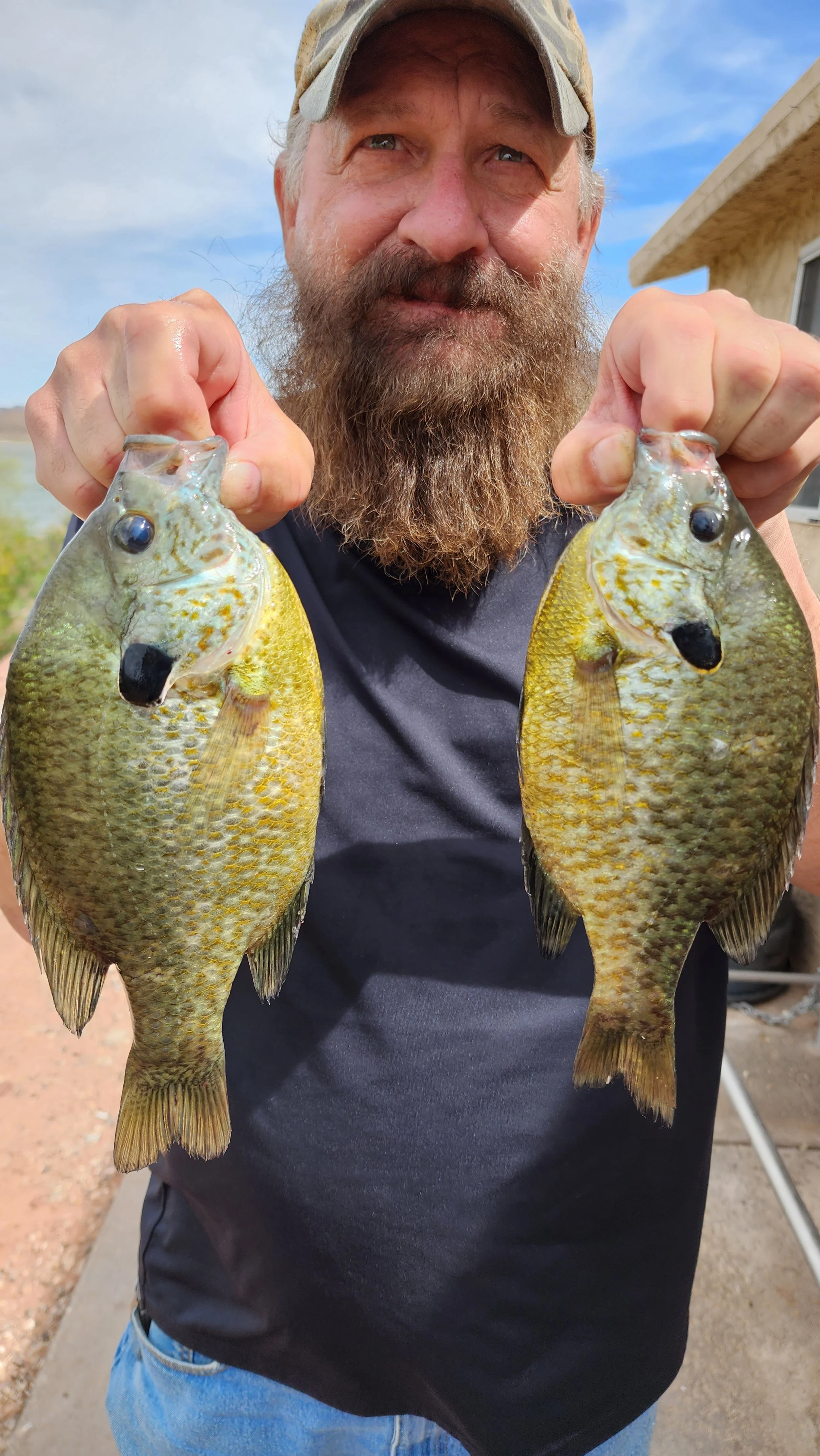 They are not all three pounders but these are good eating sized.