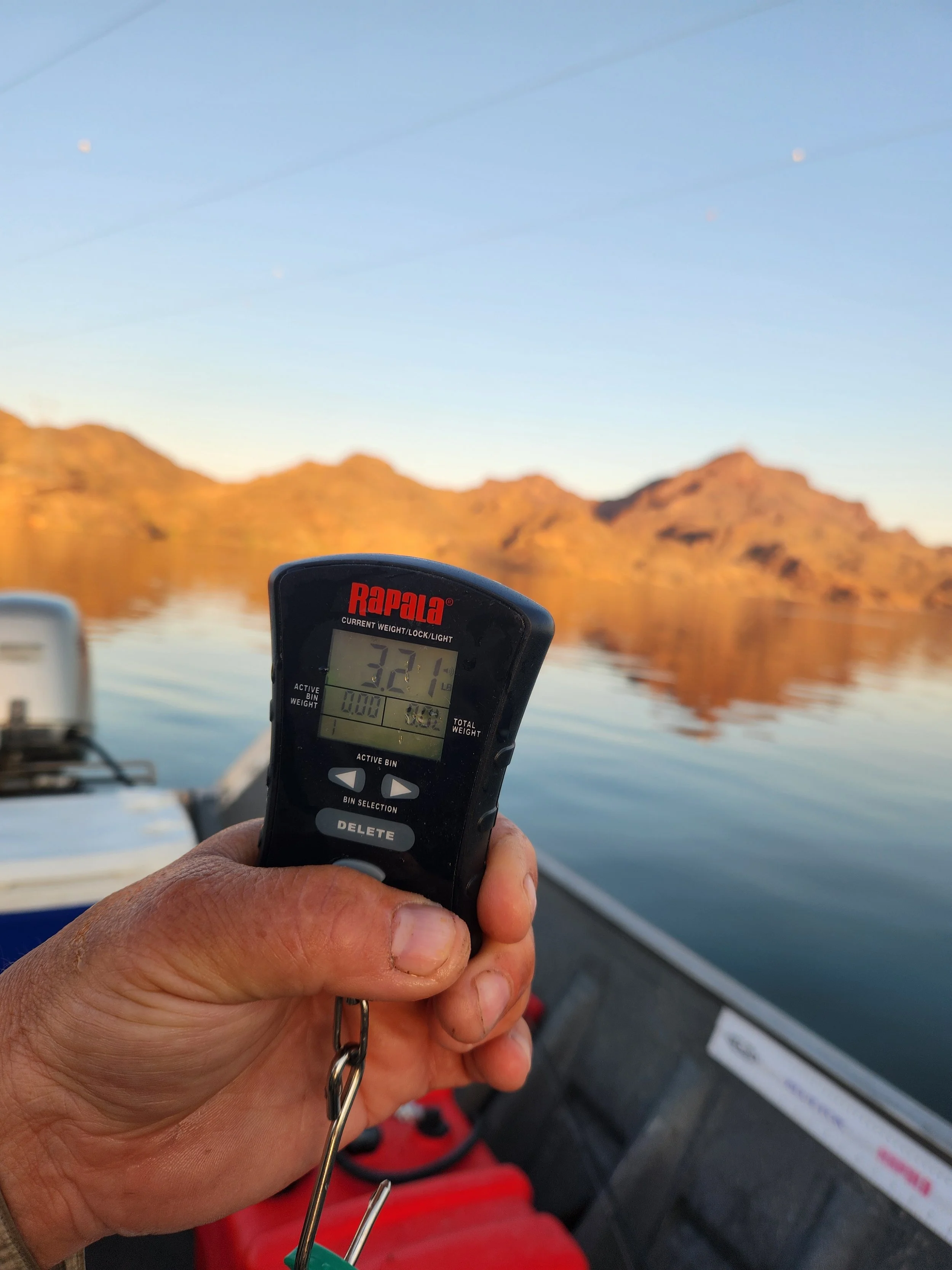Redears this size in Lake Havasu are fairly common now. It's a little trickier to catch them on a fly rod.