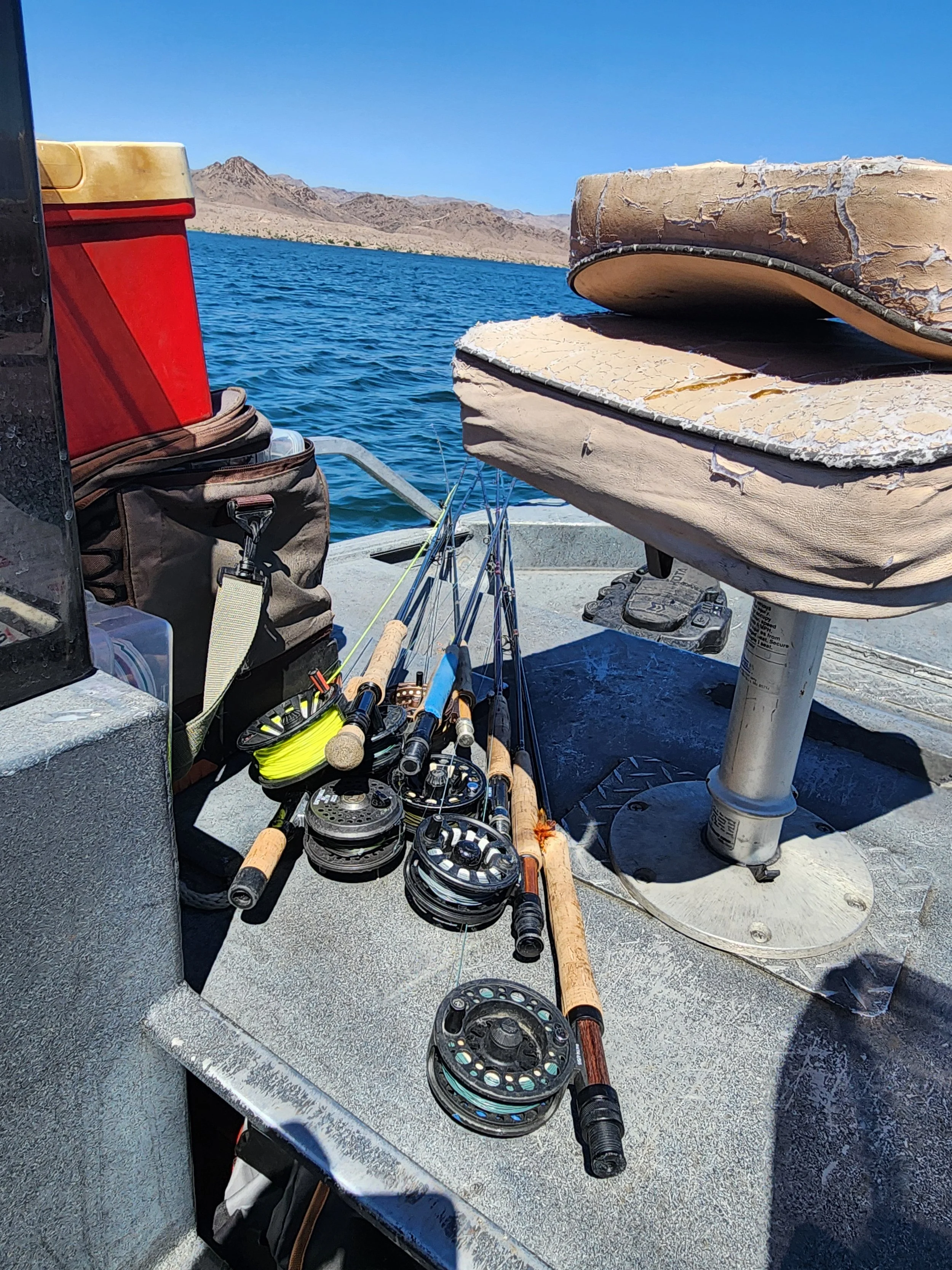 Six fly rods, six different flies for six different presentations, for six different habitats on lake Havasu.
