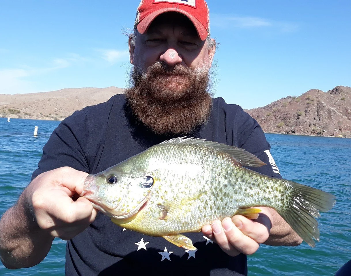 Dave with a two pound Havasu sunfish