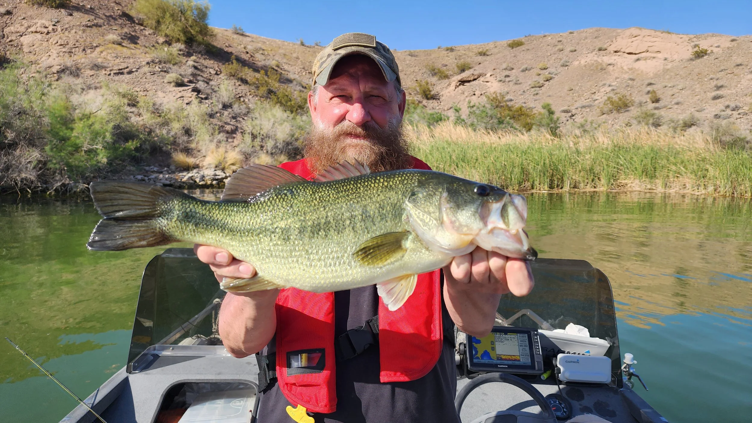 Dave and I caught lots of nice bass in Lake Havasu