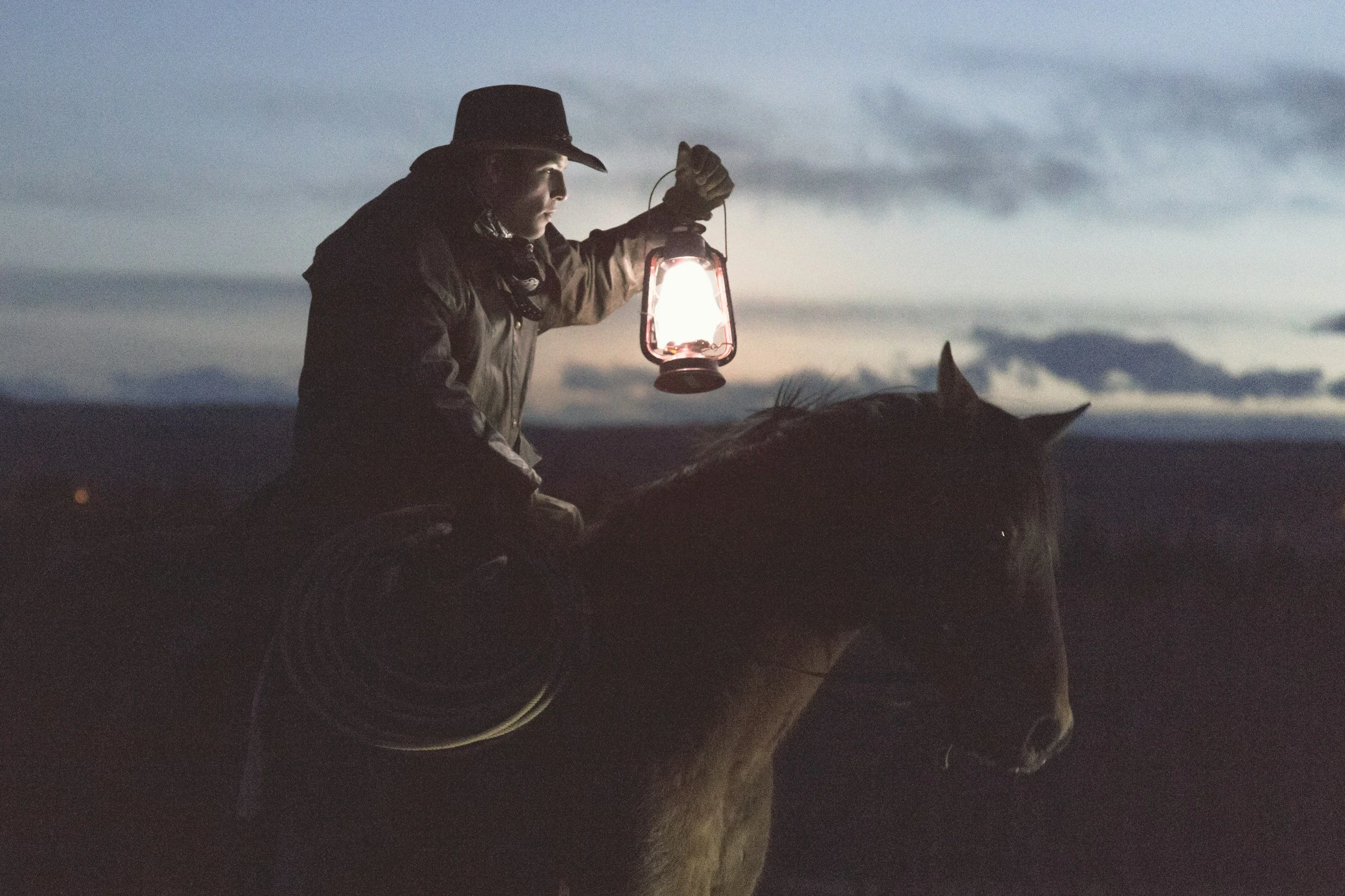 The Unsung Heroes of the West: The Working Ranch Horse