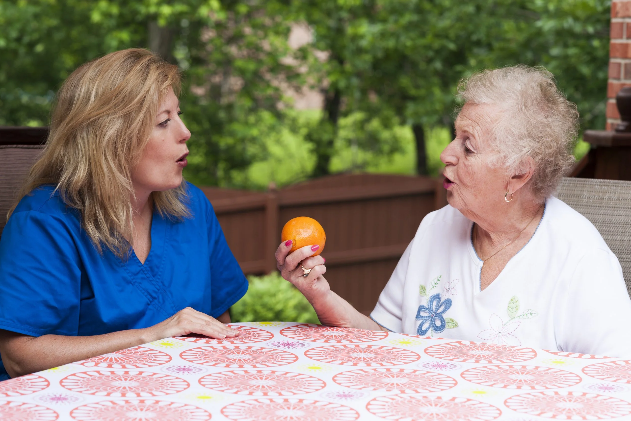 iStock-499892303.jpg