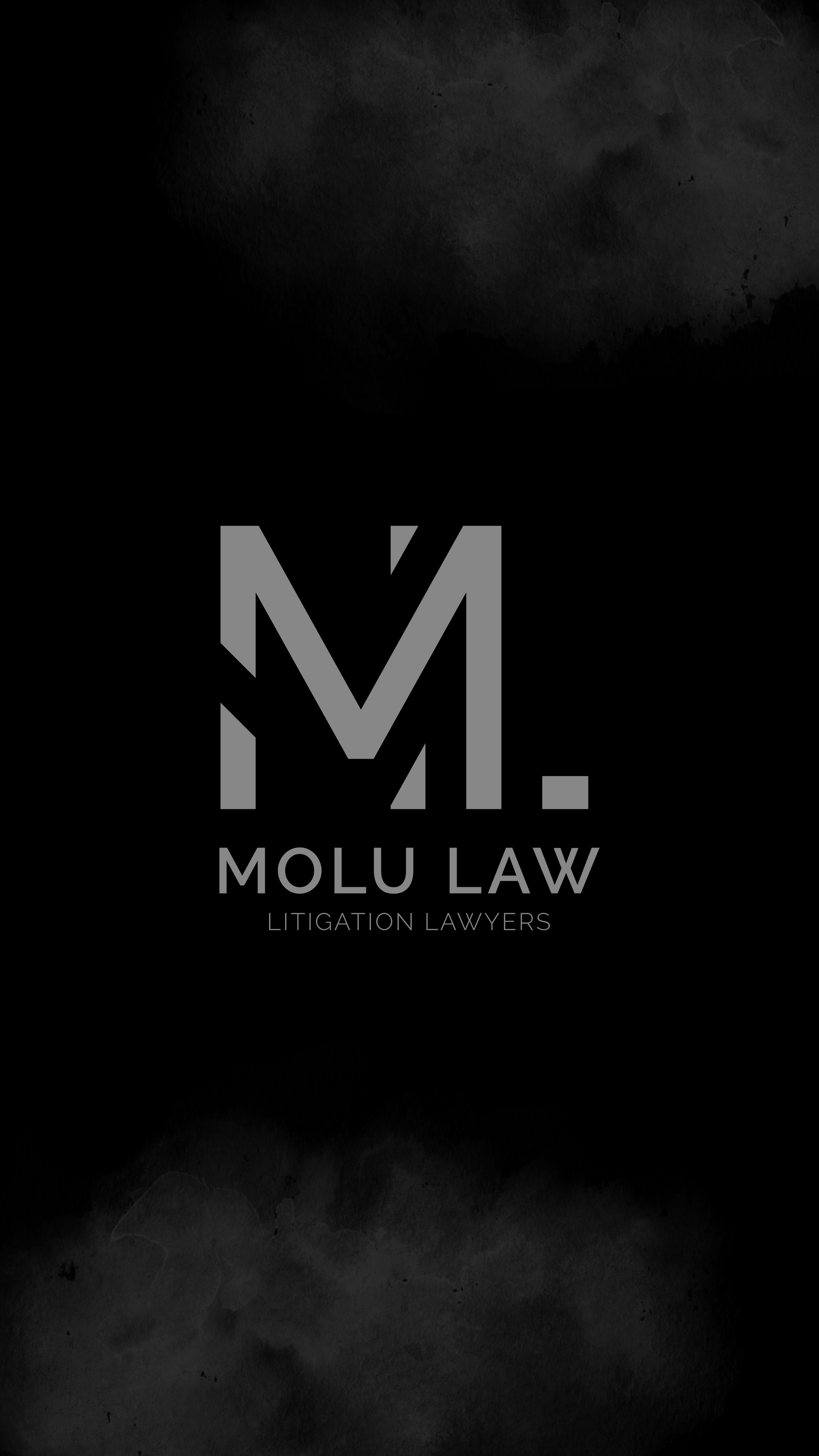 Molu Law: The Journey to Fierce Advocacy with a Personalized Approach