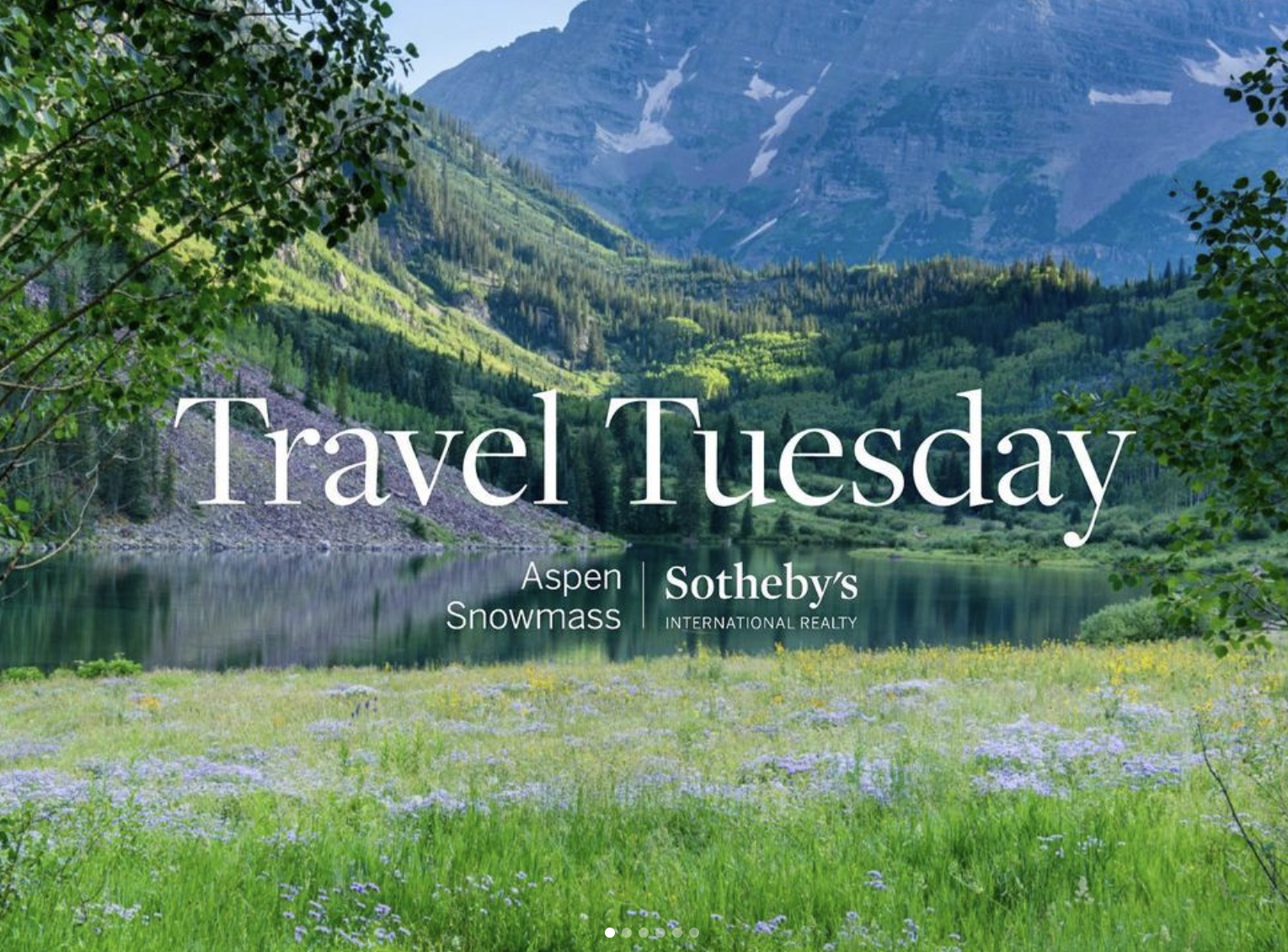 Screen Shot 2024-08-15 at 2.41.01 PM.png