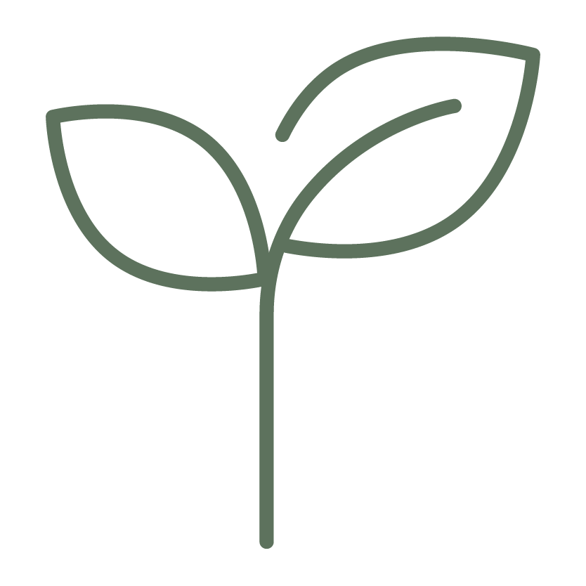 Lawn Rejuvenation Icon