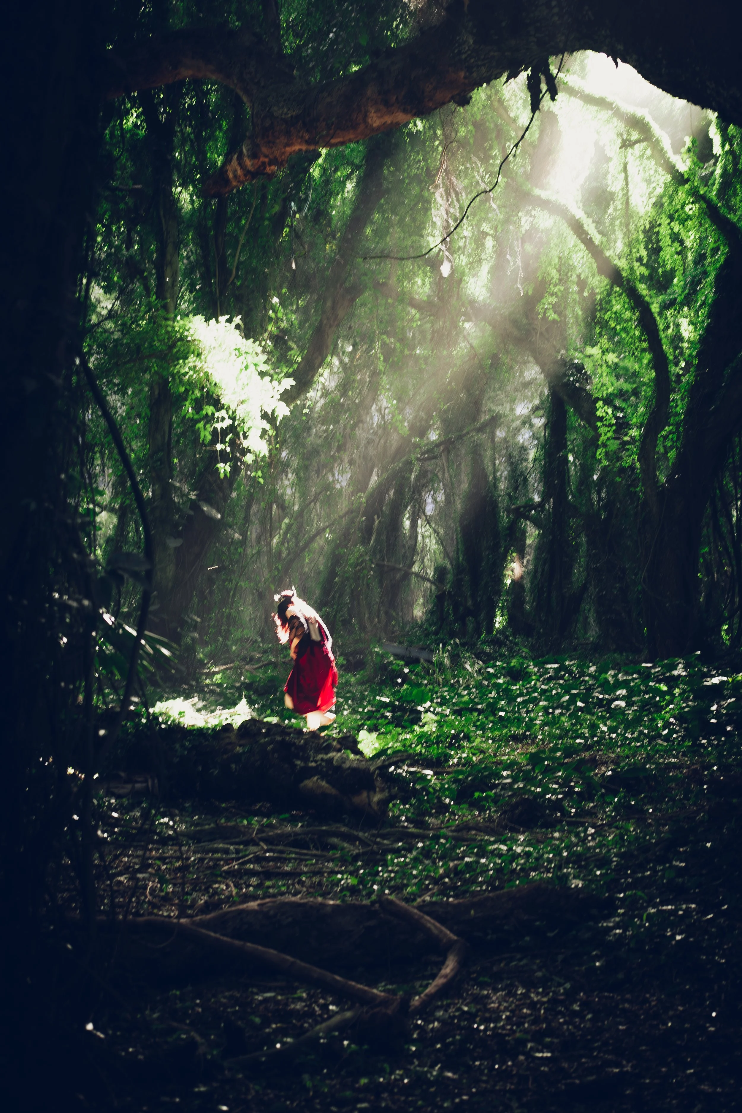 Nicki Tedesco Woods-076.jpg