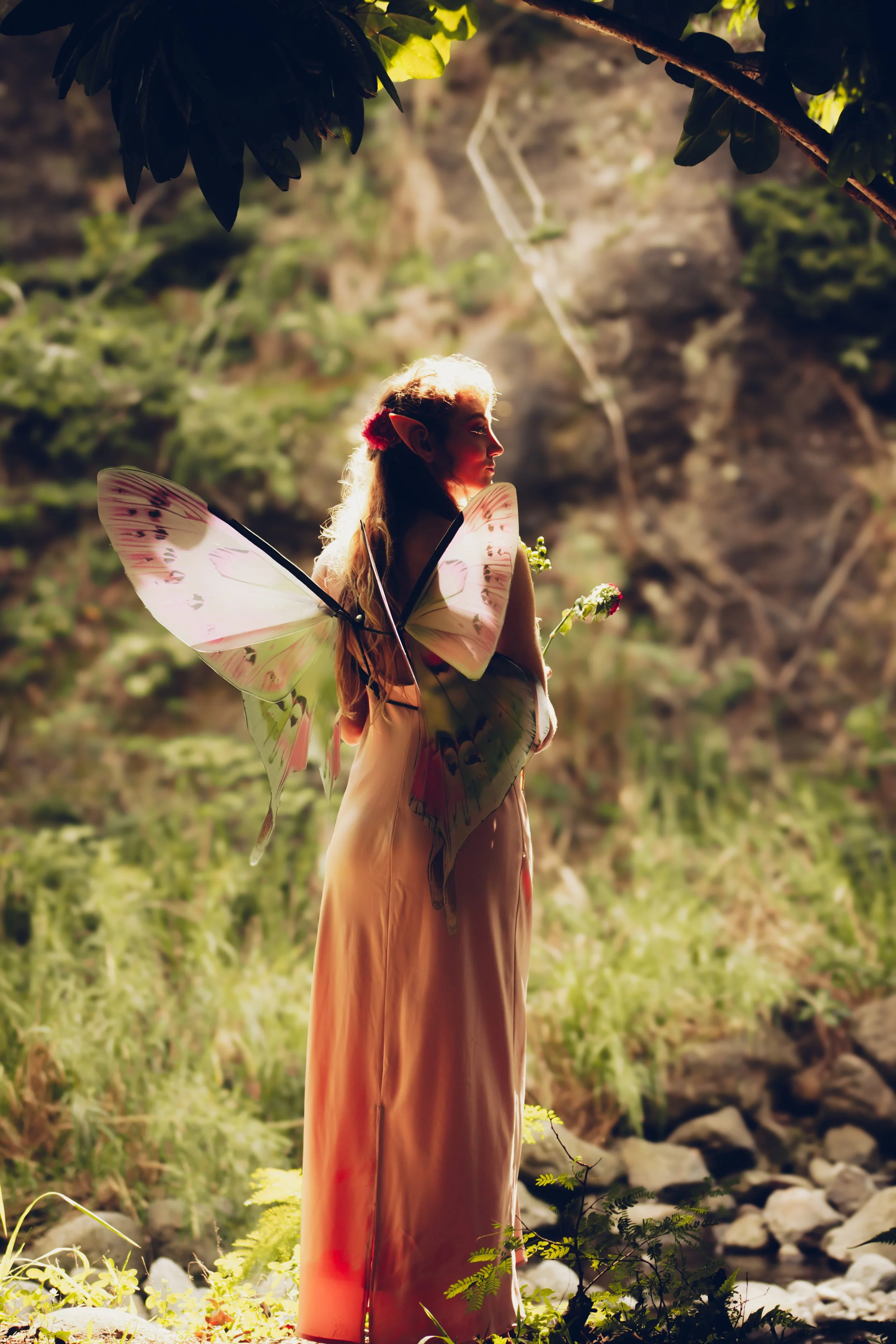 A woman dressed as a fairy with butterfly wings, standing in a forest with sunlight shining through the trees.