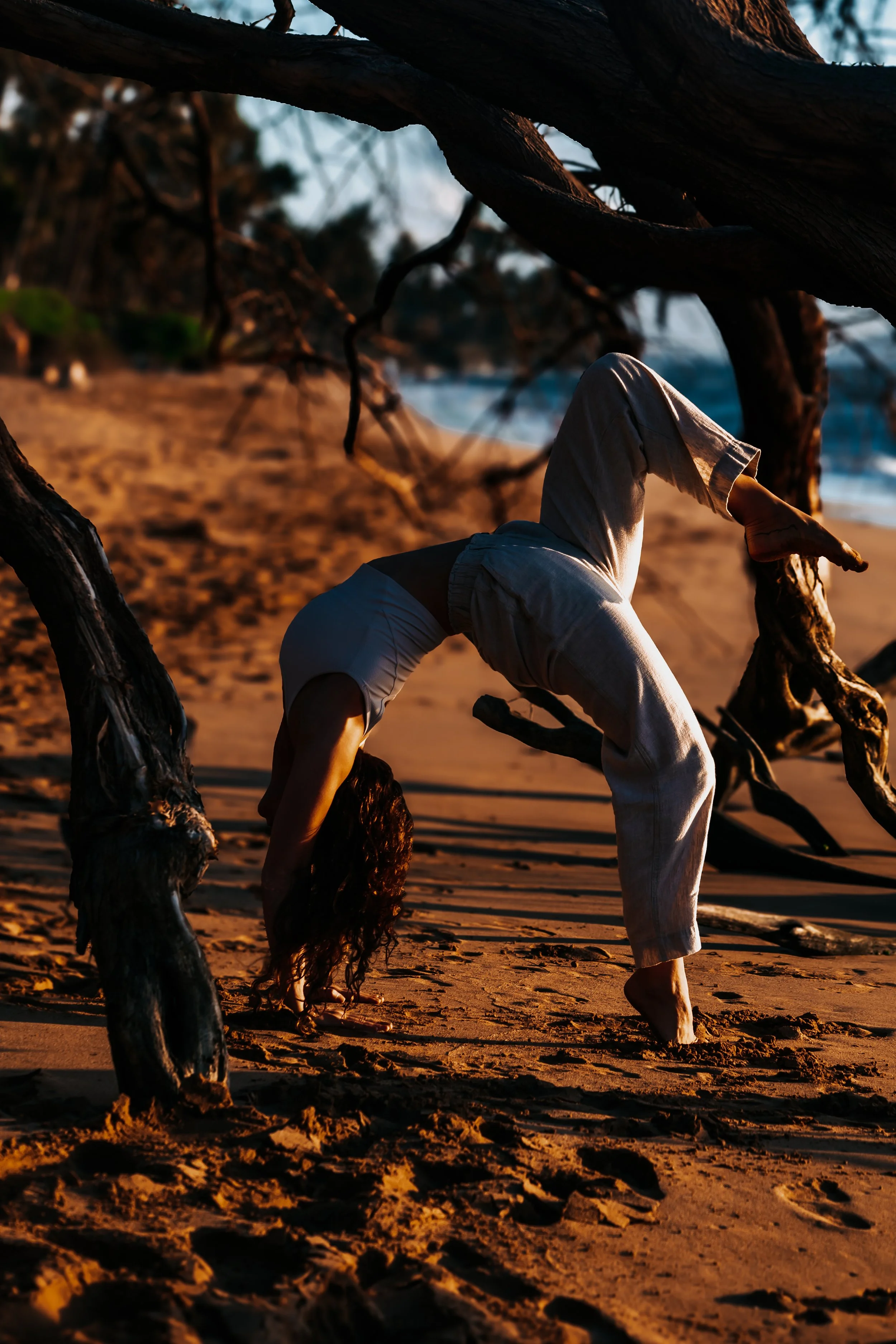 Maui Yoga Loft Fall 2025-259.jpg