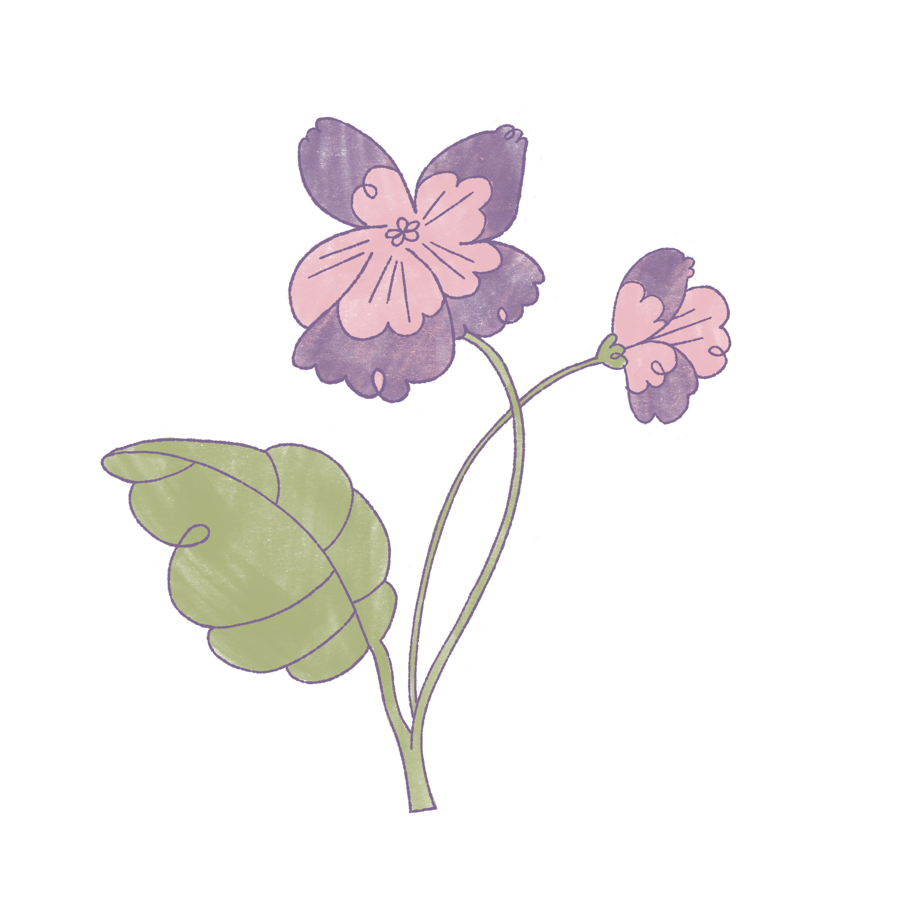 Untitled_Artwork 38.png