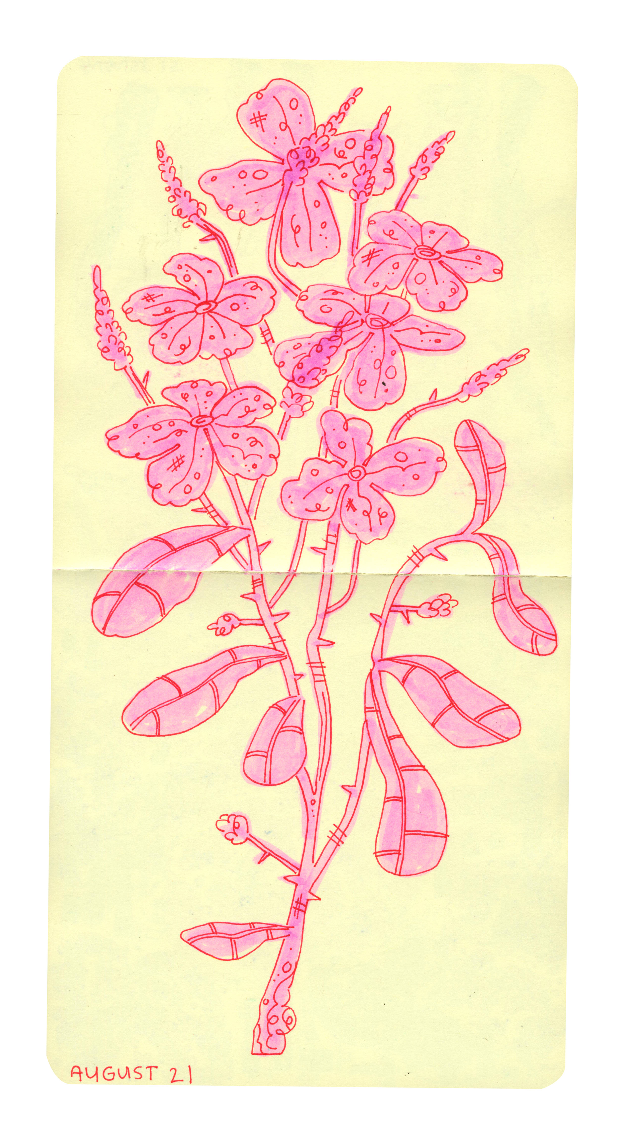 sketch - pink and red flowers.png