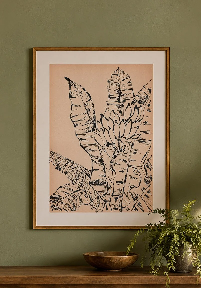bananeiras de moreré nº 5