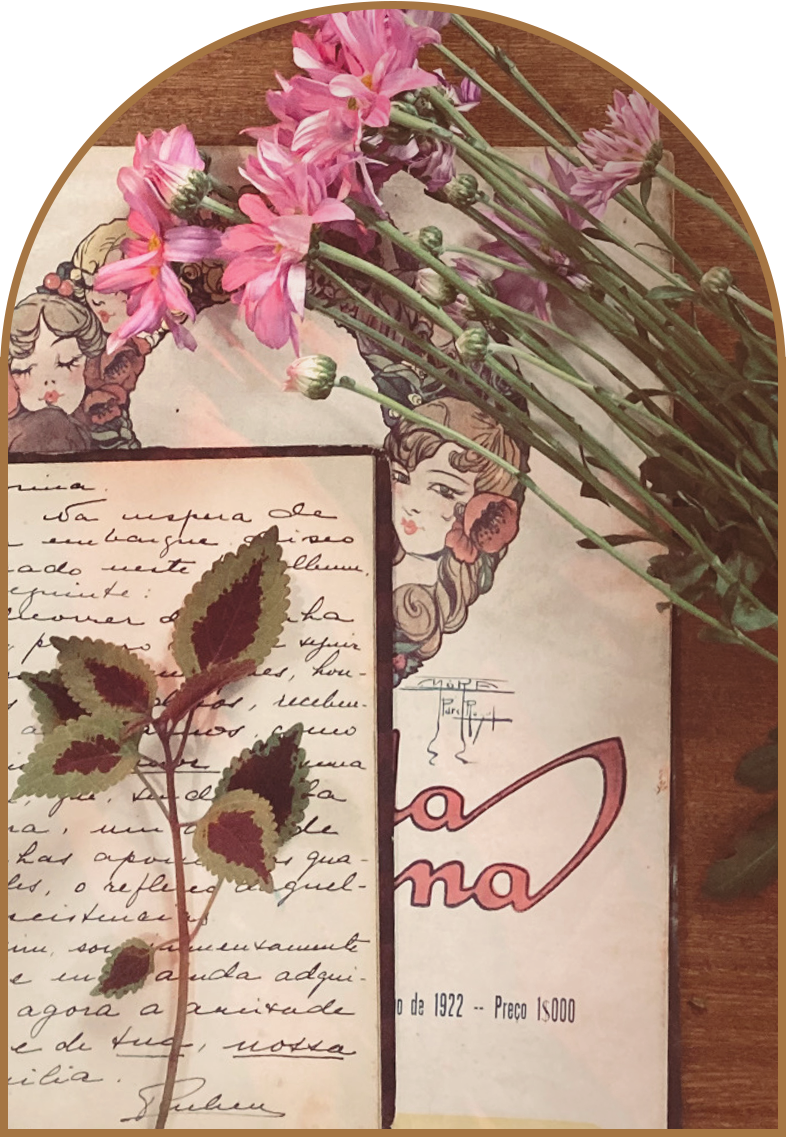 newsletter do Studio Mila Petry Co sobre estamparia, mercado de moda e lançamento de estampas