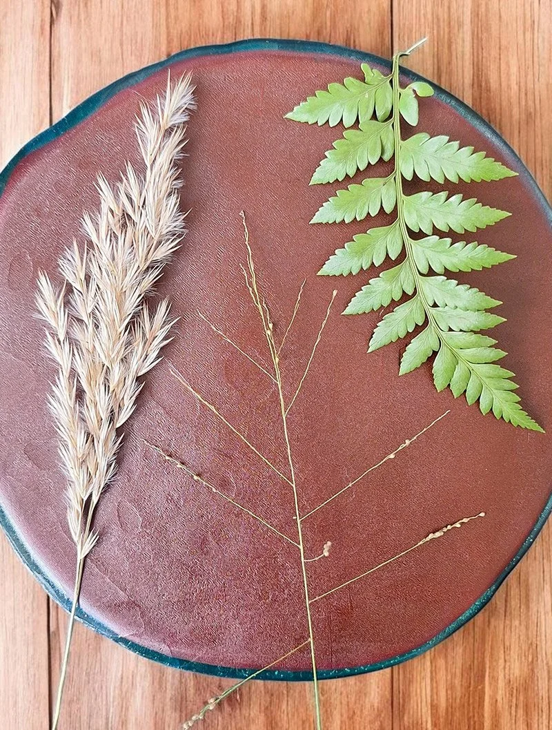 Detalhe da placa de gelatina com plantas para monotipia de Lívia Cruz