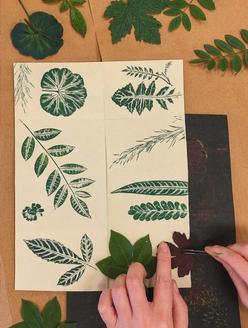 Monotipia de Lívia Cruz com plantas diversas em papel e tinta a óleo