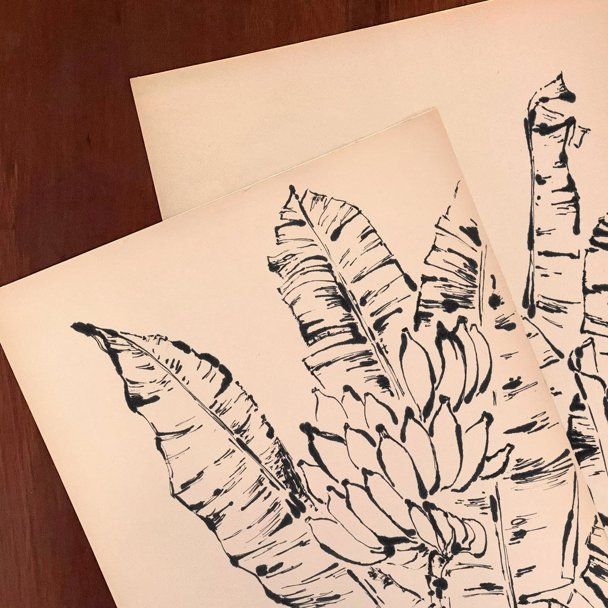 Detalhe de ilustrações originais da série Bananeiras de Moreré, com folhas de bananeira em nanquim sobre papel envelhecido