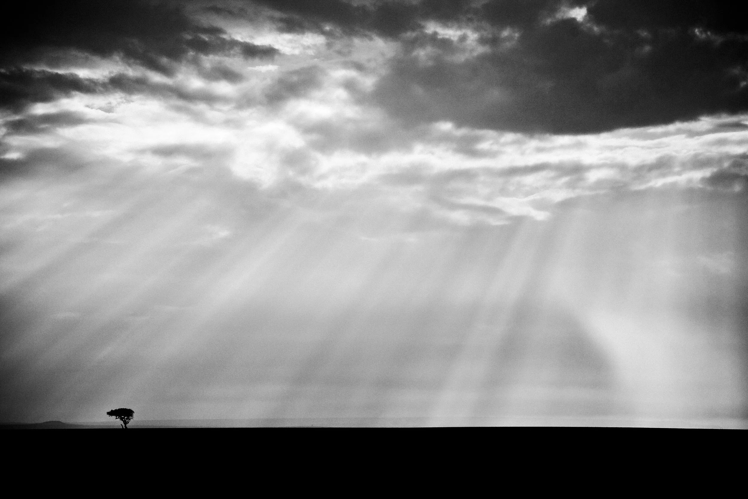 Africa - One Tree R2.jpg