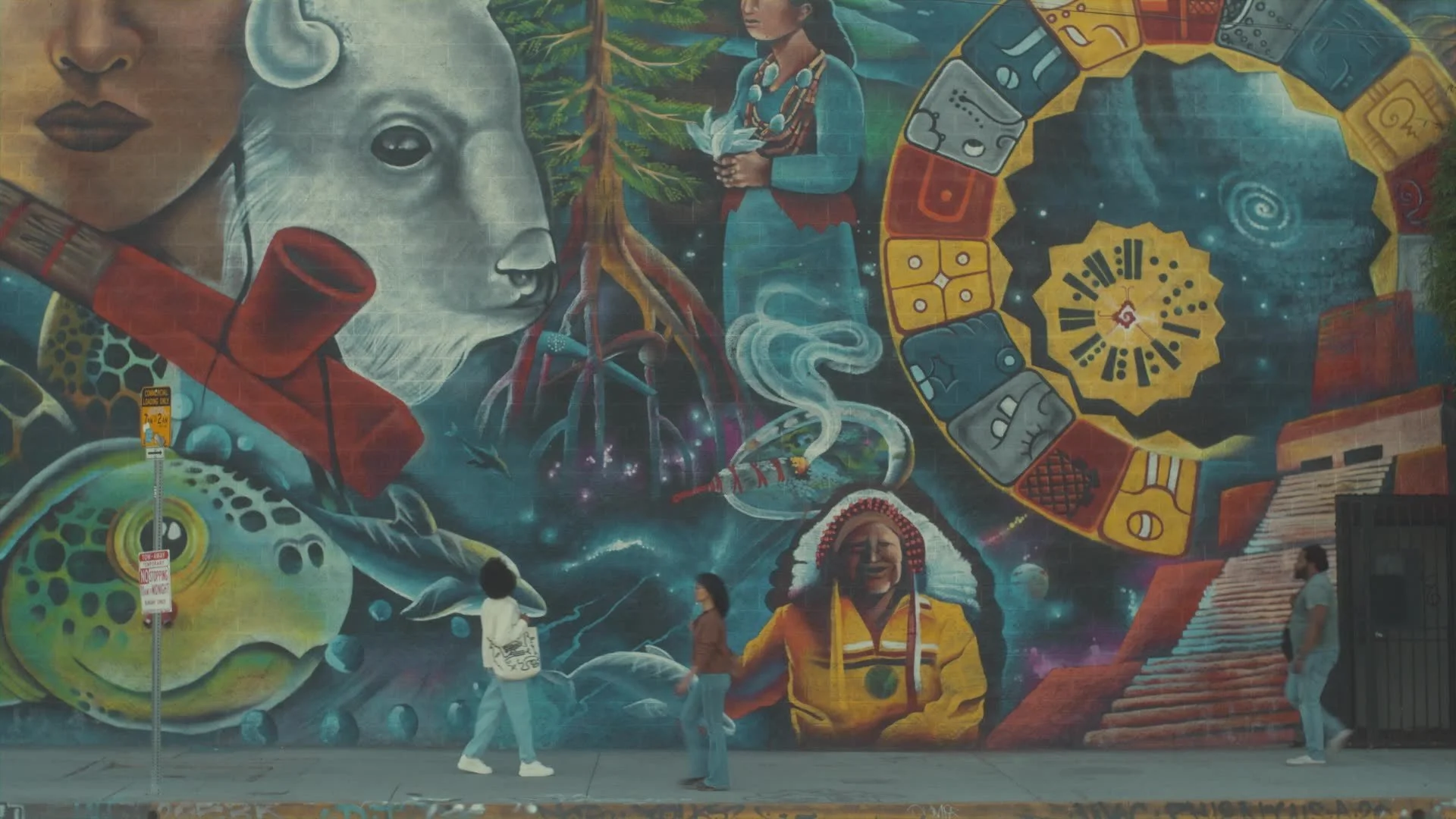 frame_504.jpg