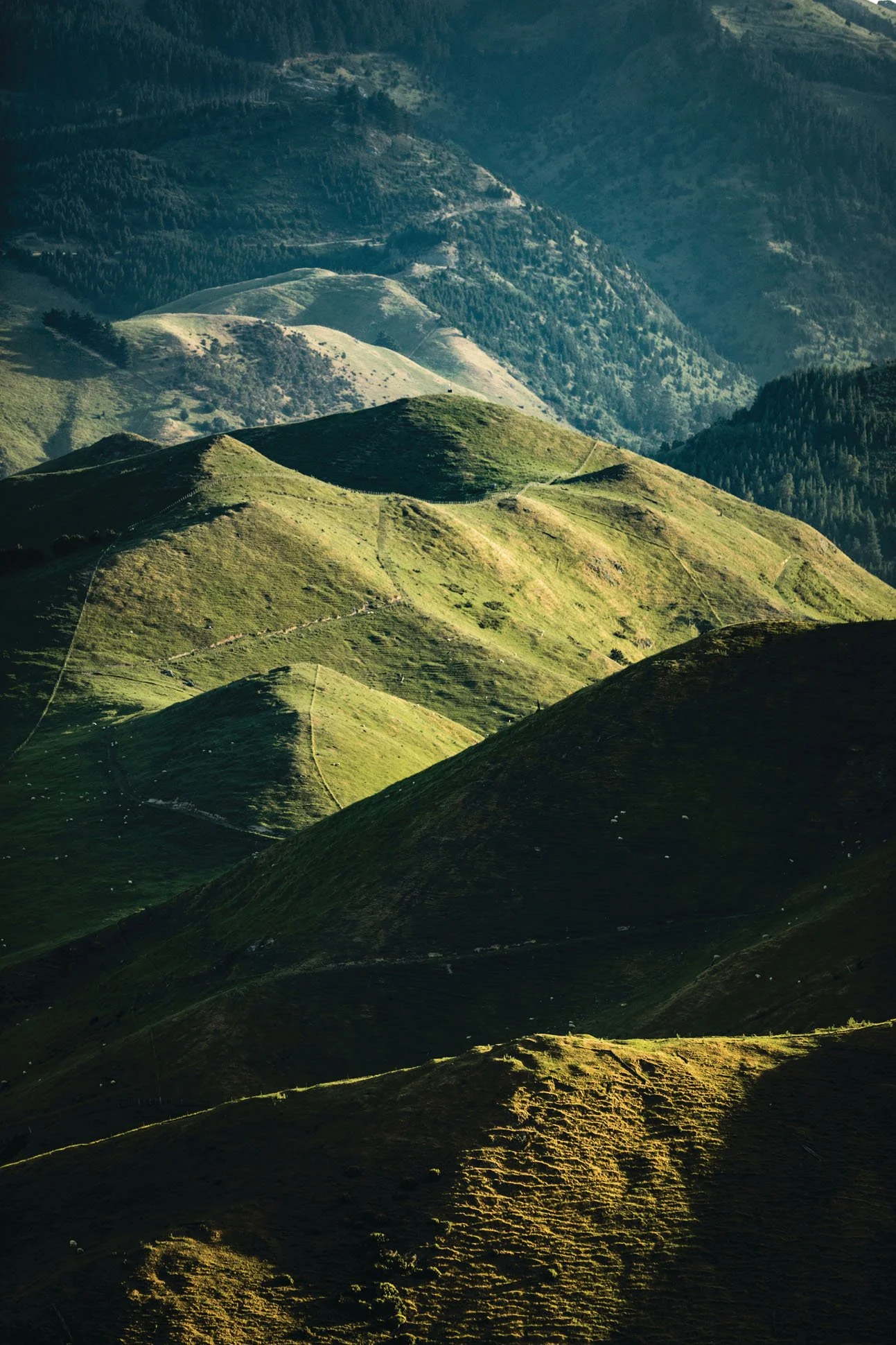 Aerial view of lush, rolling green hills and mountains with paths and trees, under a cloudy sky.