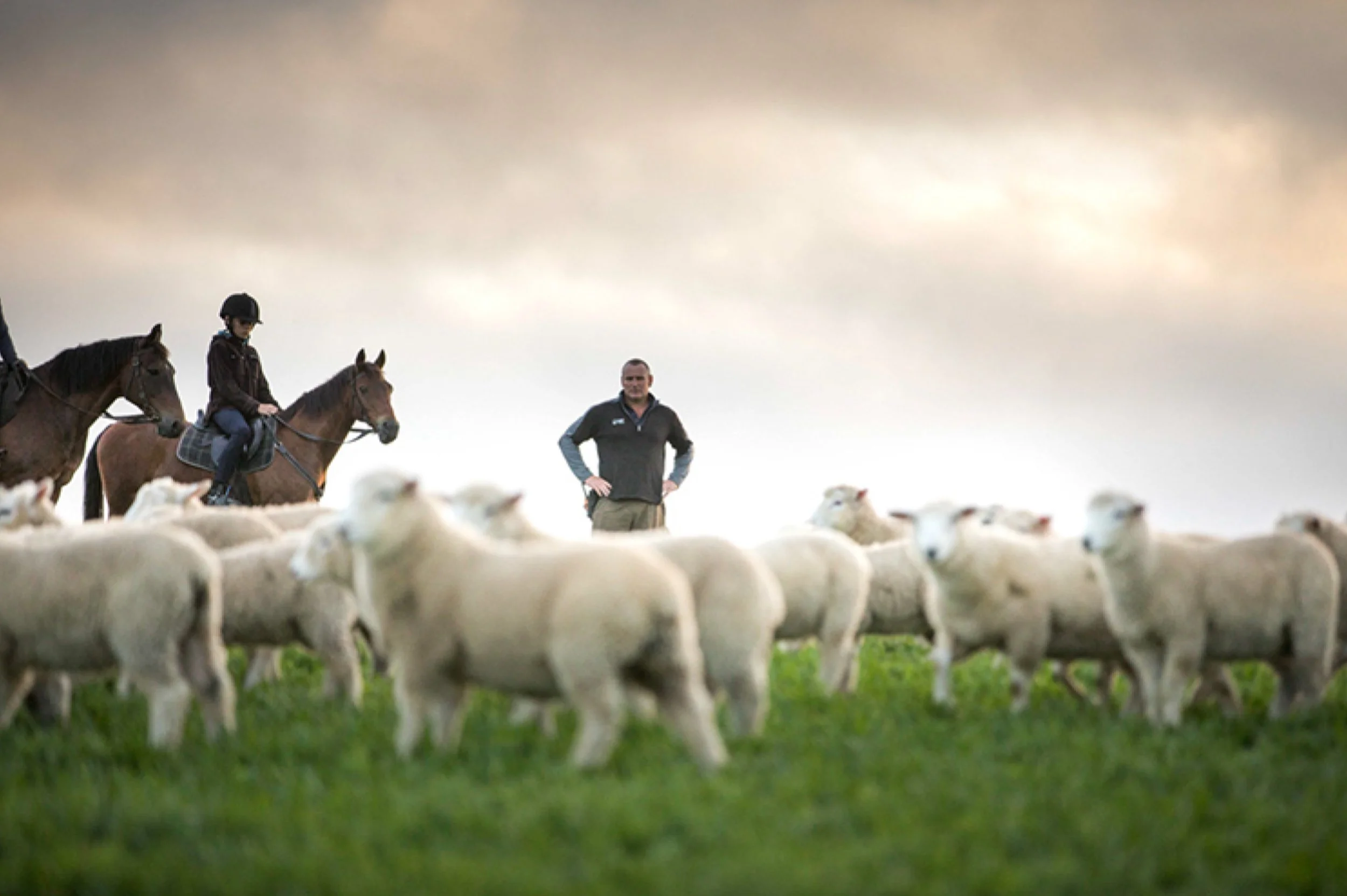 A person standing among a flock of sheep with three children riding horses nearby under an overcast sky.