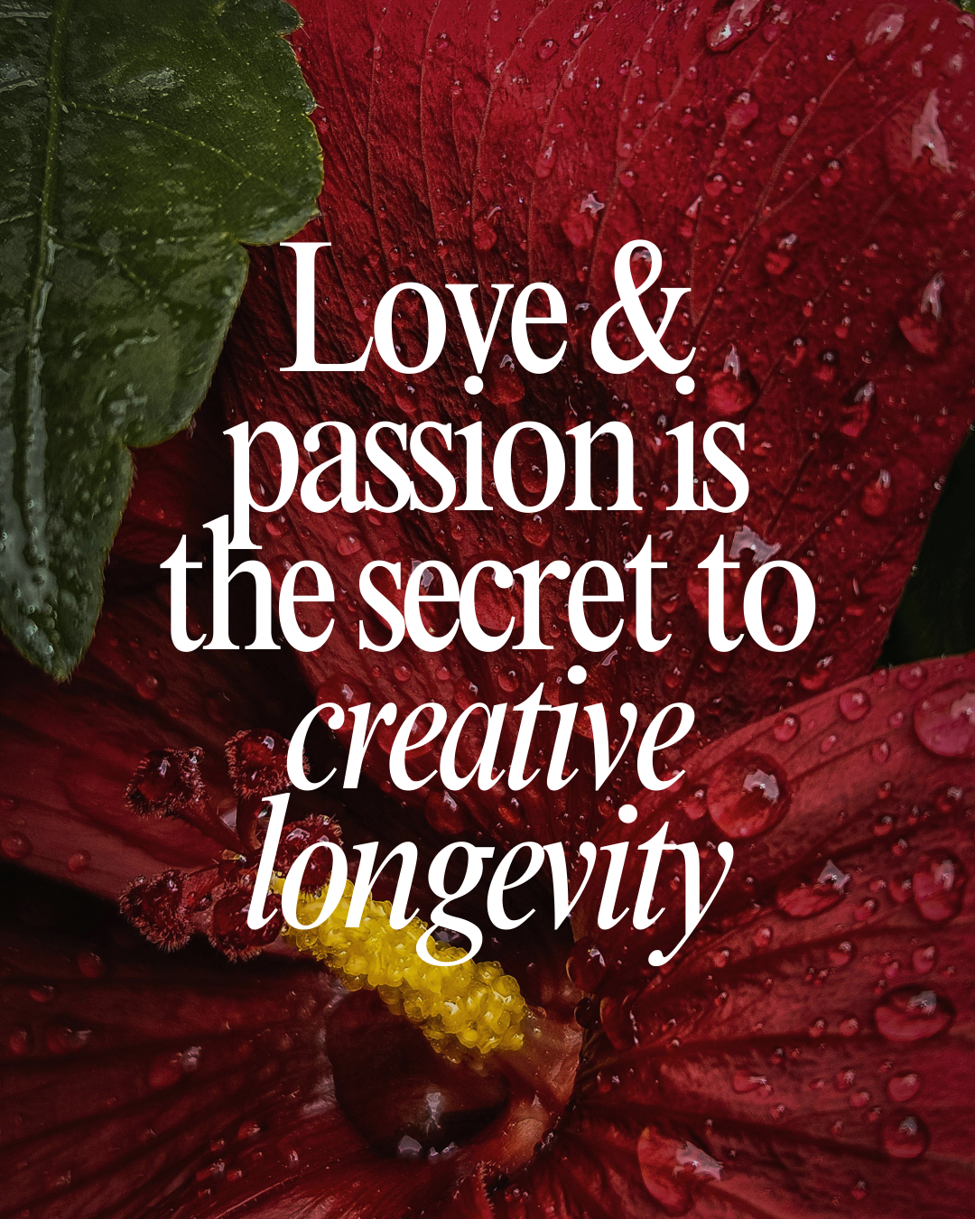 Love &amp; passion is the secret to creative longevity