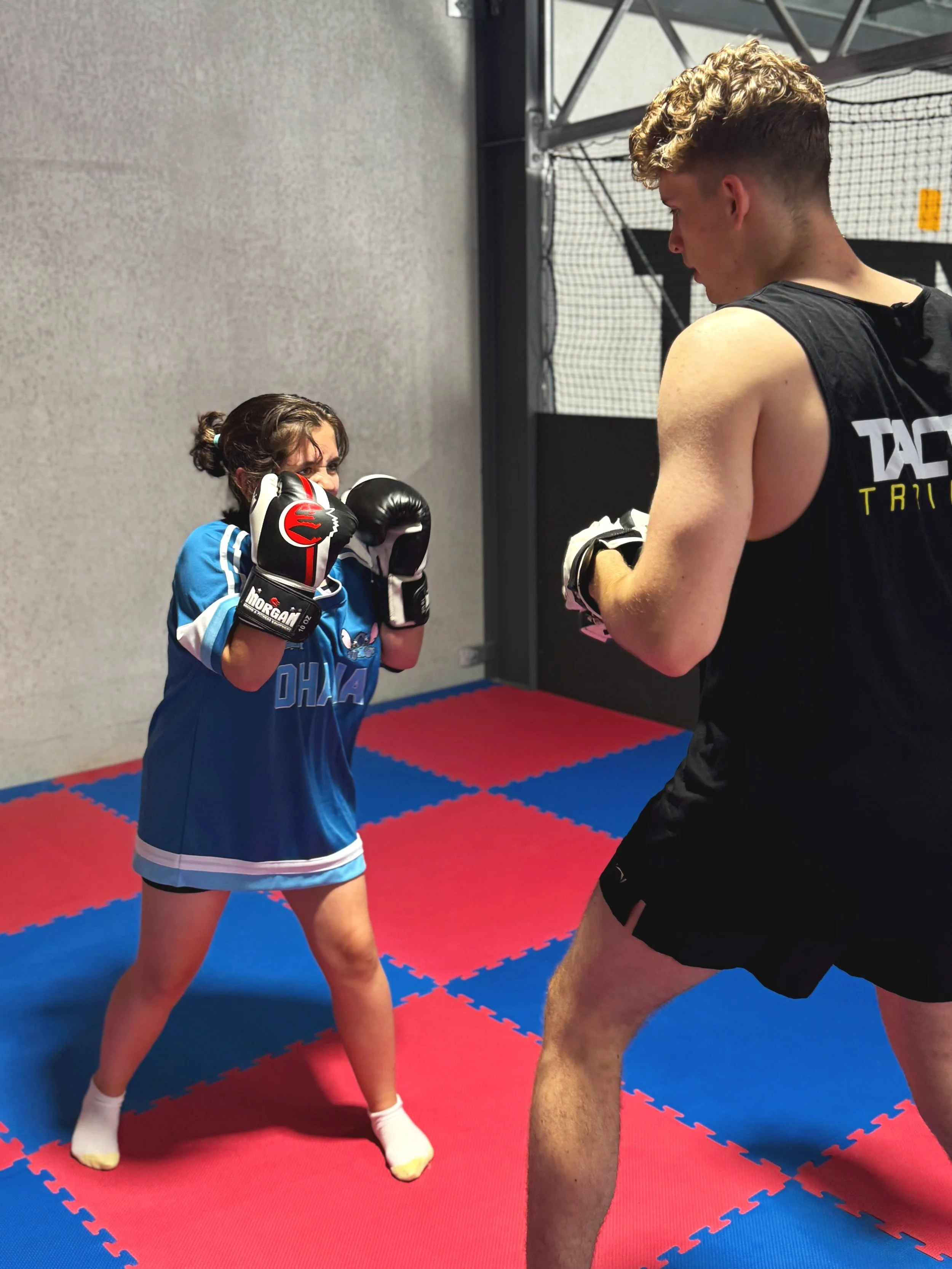 Mixed Martial Arts Training
