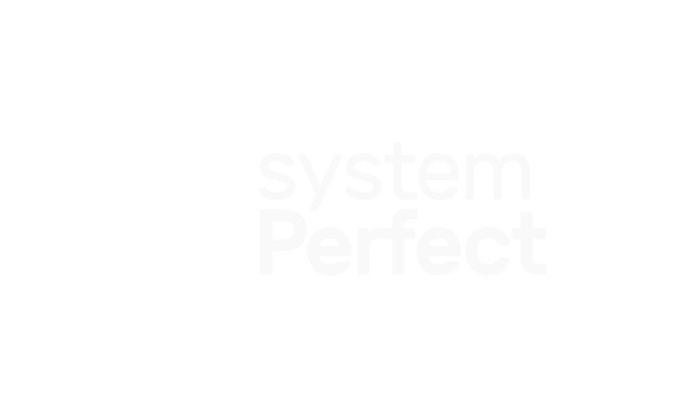 Logo with a stylized letter 'd' resembling a person with an arm raised, next to the words 'system' and 'Perfect' in white text on a black background.