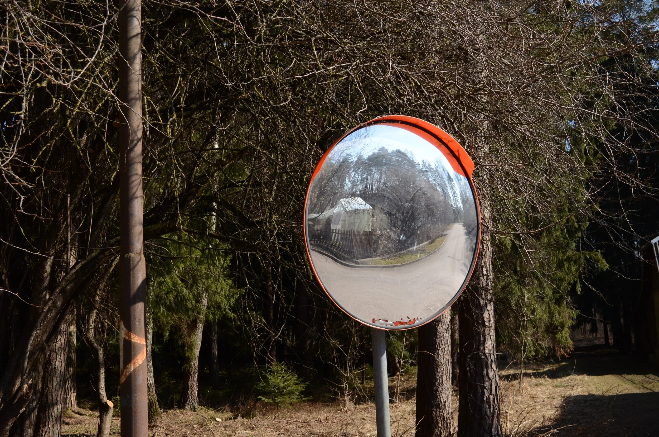 A road mirror attached to a pole reflecting a rural scene with trees and a house, surrounded by dense leafless branches.