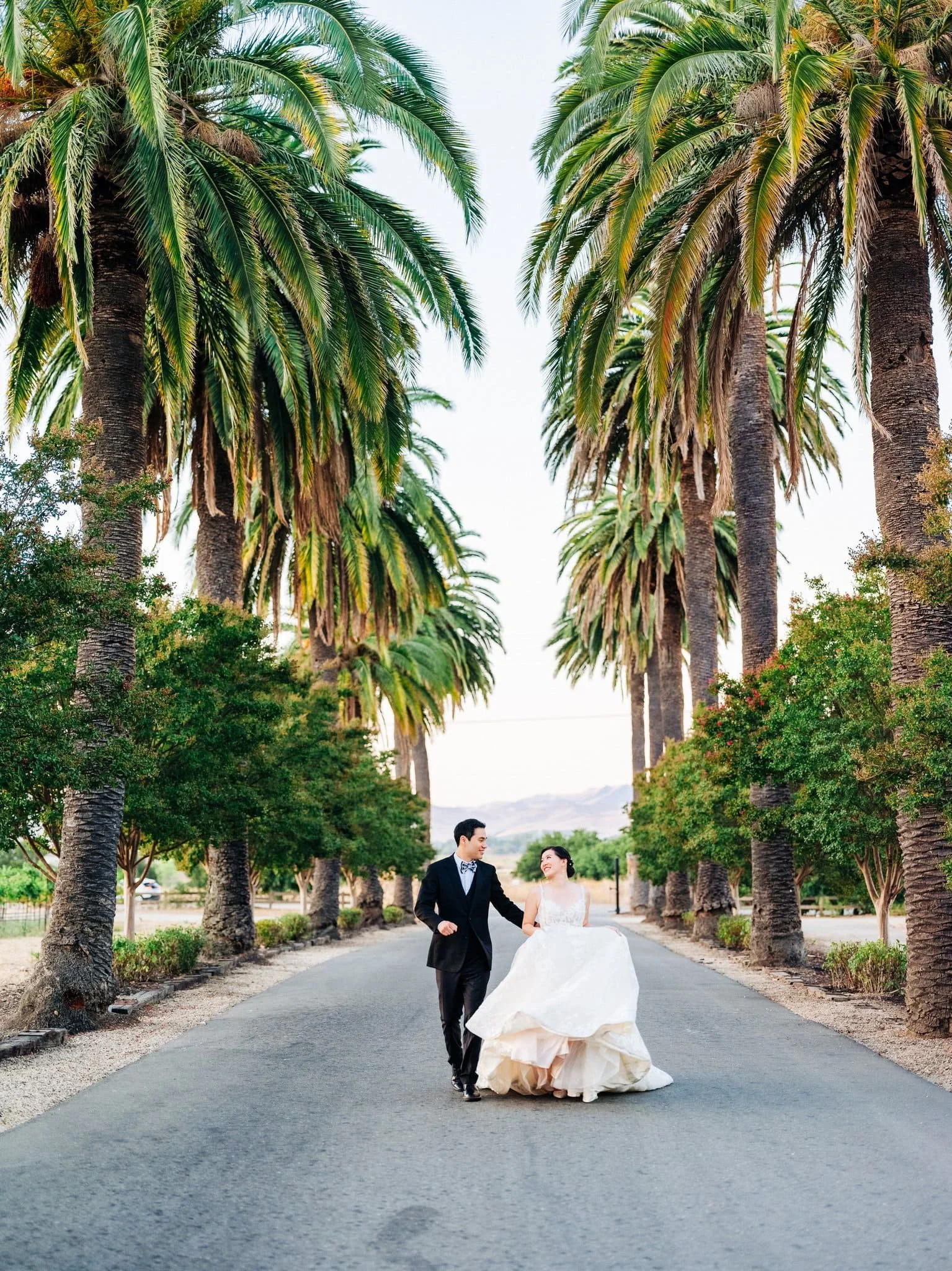 bride and groom walking down palm tree lined path palm event center pleasanton wedding