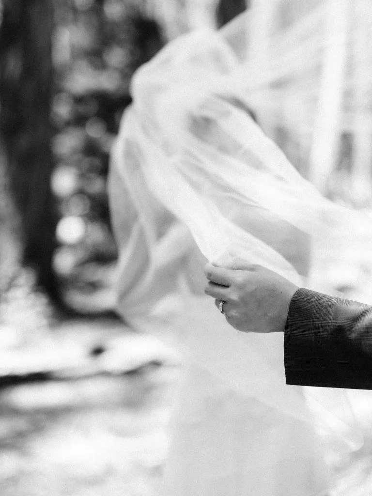 Groom holding the bride's veil with his wedding ring visible during portraits in the Presidio.