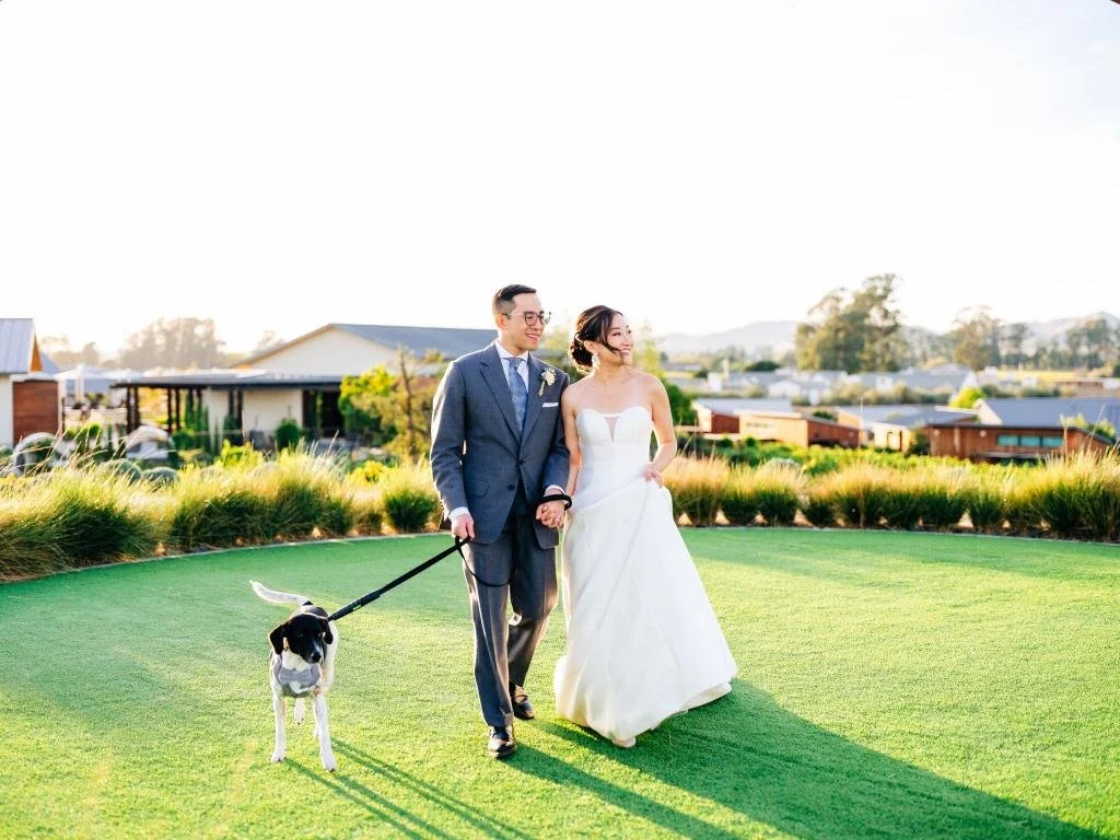 Bride and groom walking across the grass with their dog at Stanly Ranch