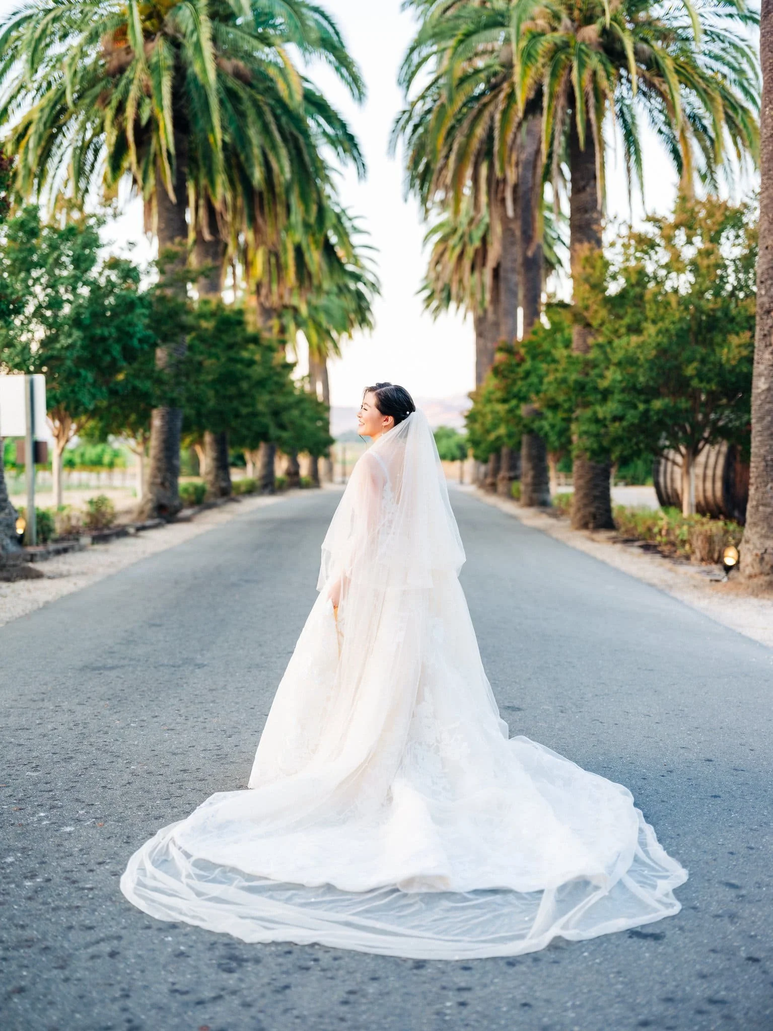 bride walking on path lined with palm trees palm event center pleasanton wedding