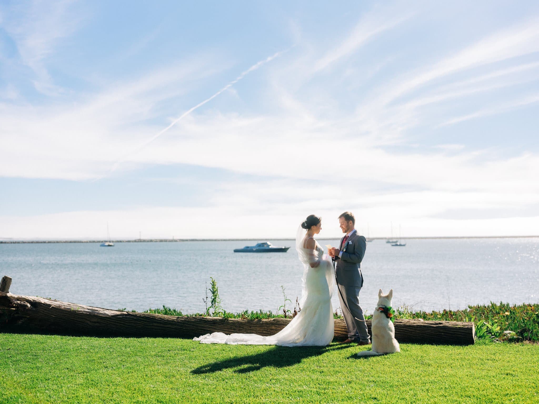 Bride and groom with their dog Layla overlooking the ocean as groom reads note during Maverick’s Beach House wedding in Half Moon Bay