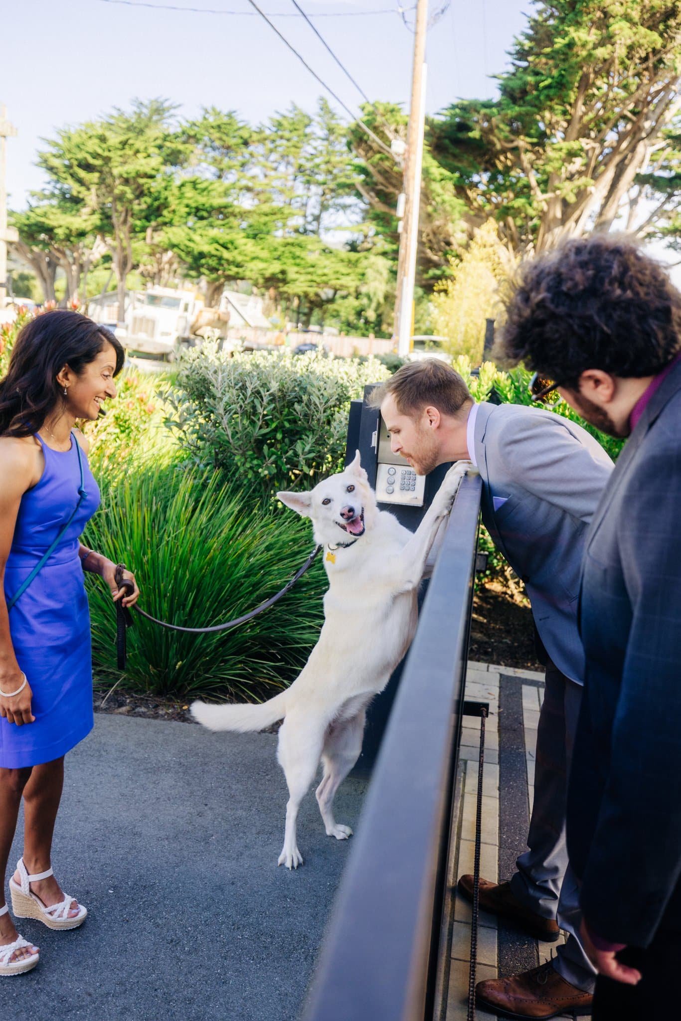 Groom petting his dog Layla before ceremony at Maverick’s Beach House wedding in Half Moon Bay