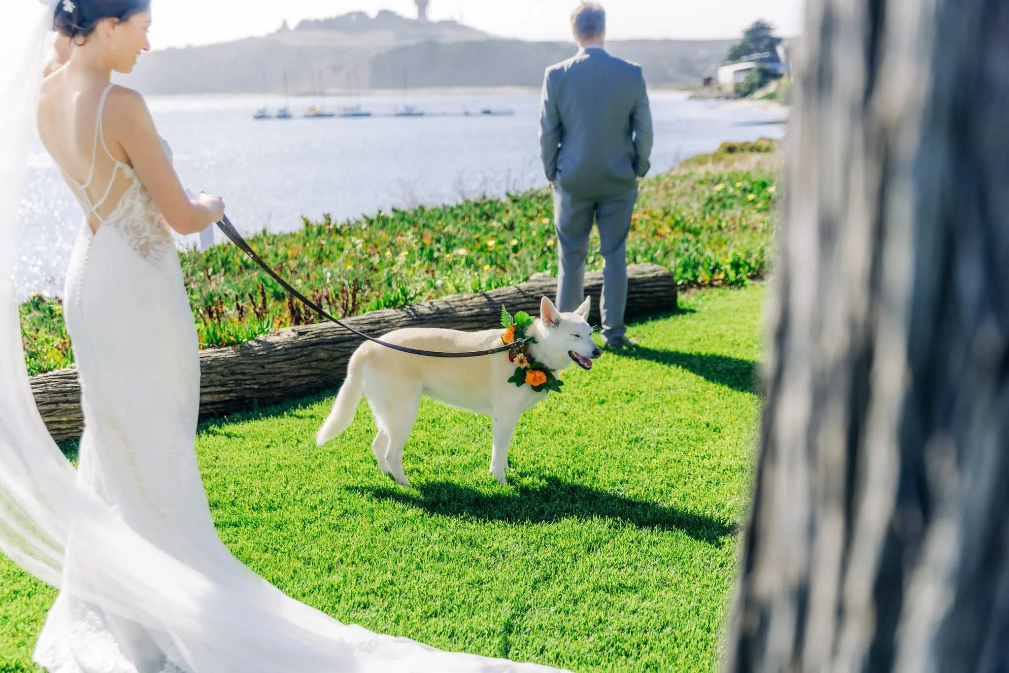 Bride with her dog Layla on leash before first look at Maverick’s Beach House wedding in Half Moon Bay