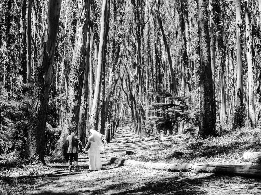 Newlyweds holding hands as they walk away from the camera along a dirt path at Lover's Lane in the Presidio.