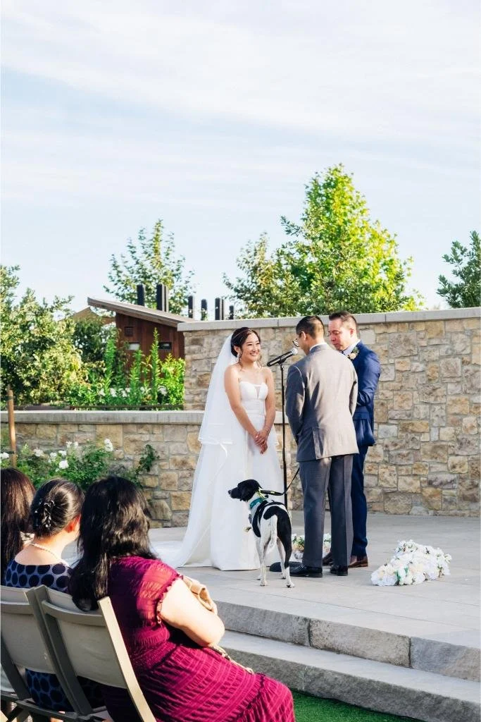 Bride and groom at the altar with their dog beside them on a leash