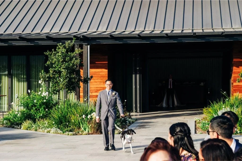 Groom walking down the wedding aisle with his dog