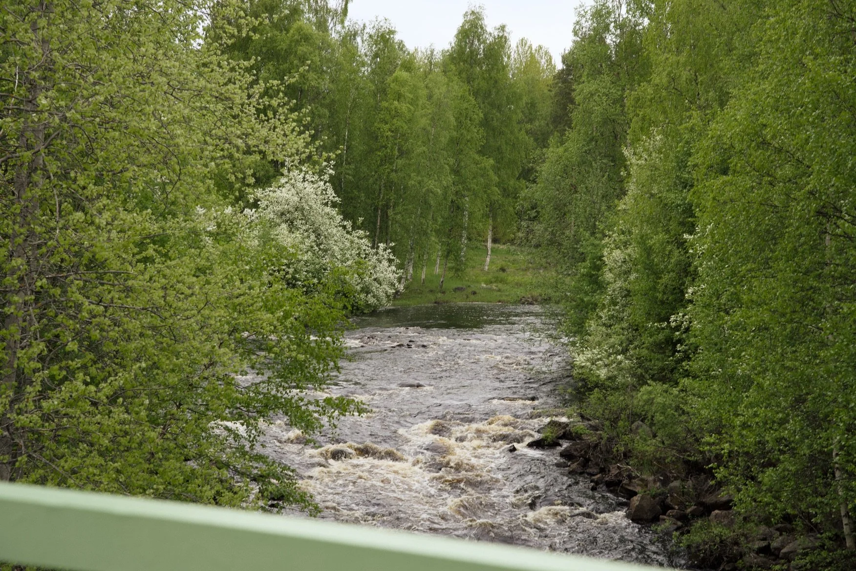 Day 8: Töre to Luleå | 75km