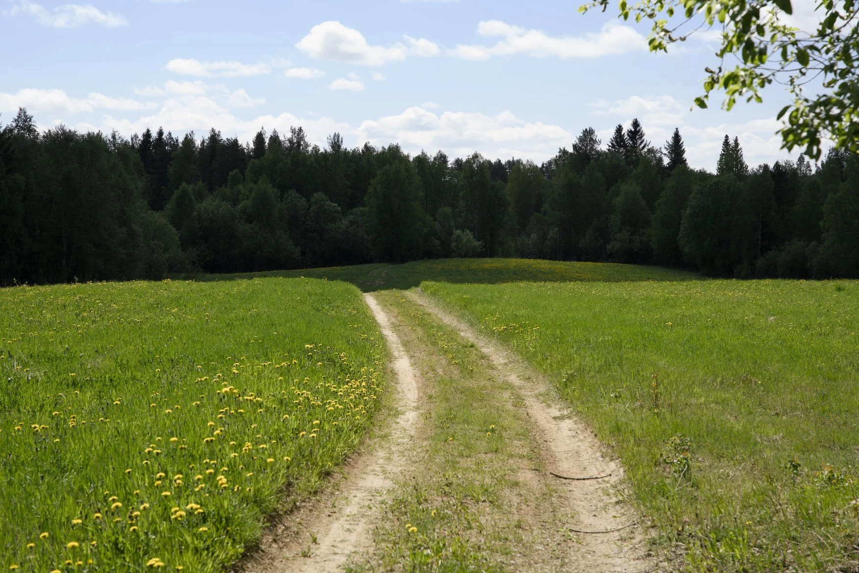 Day 10: Byske -Skellefteå - Bygdsiljum | 102km