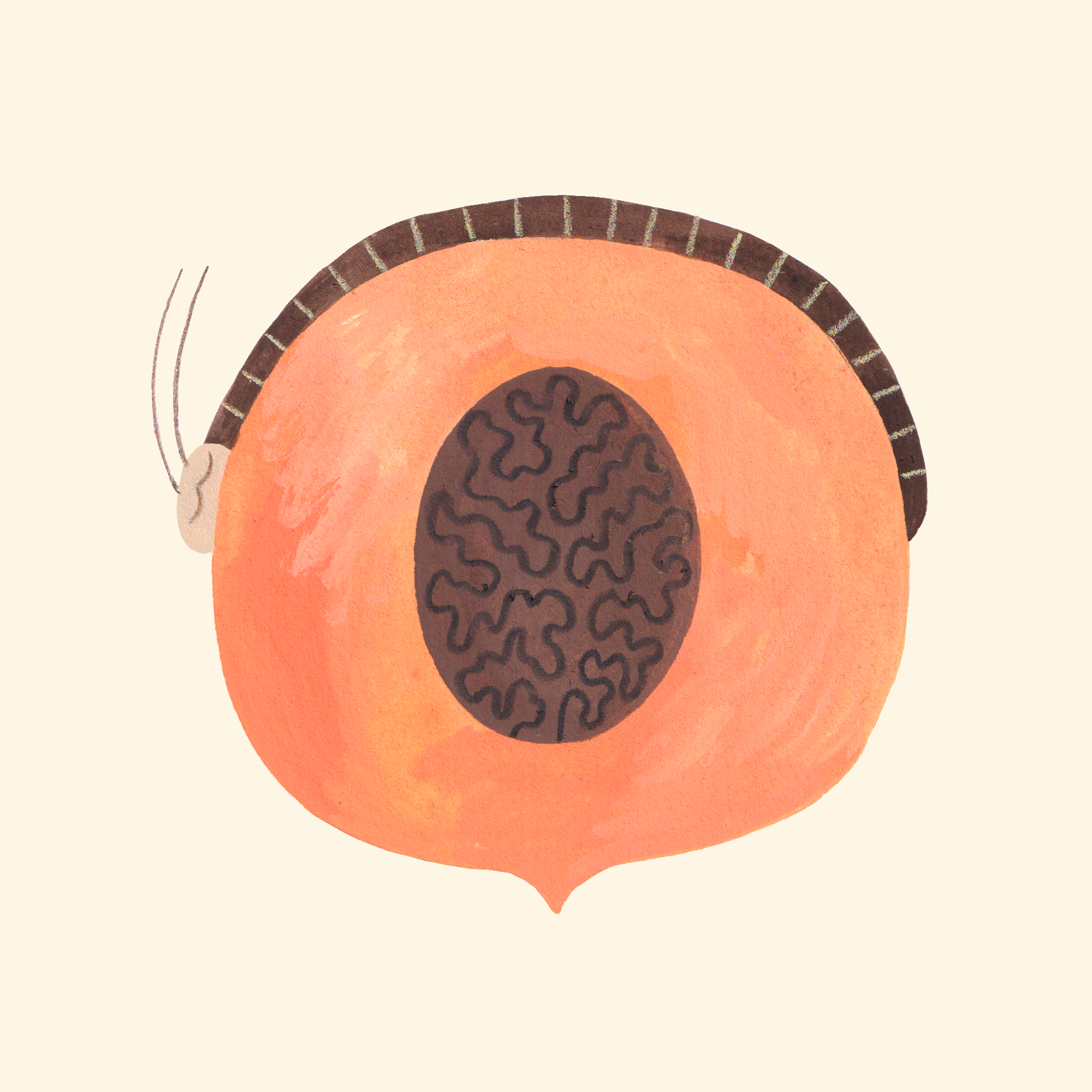 9. APRICOT